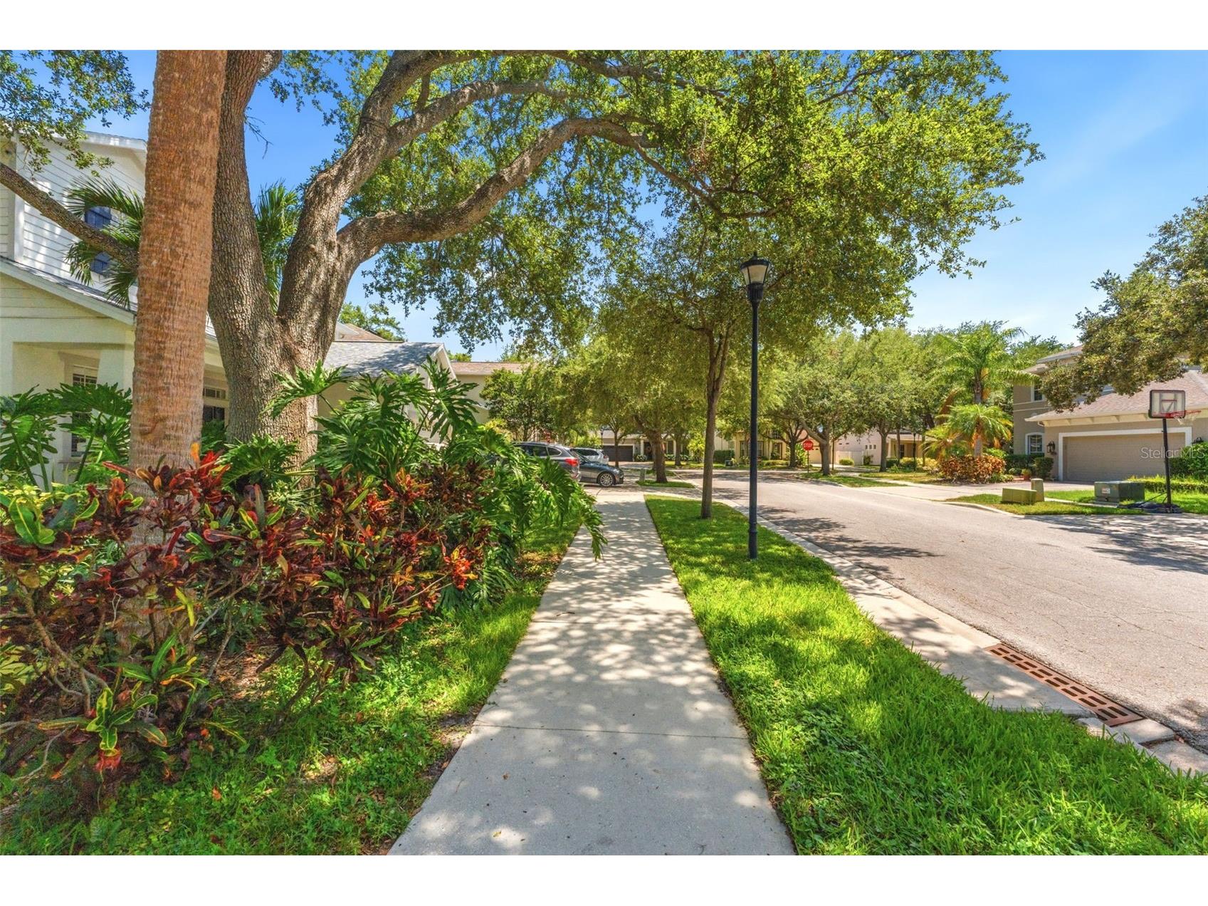 3203 Lake Green Court Tampa FL 33611 TB8512883 image37