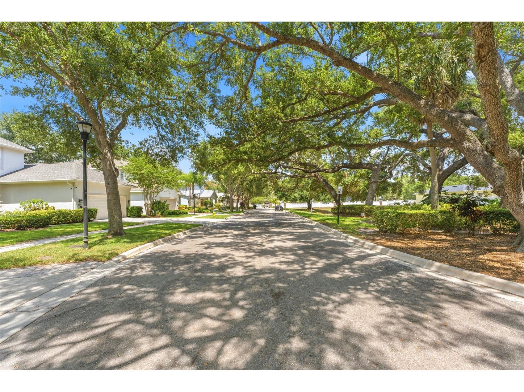 3203 Lake Green Court Tampa FL 33611 TB8512883 image38