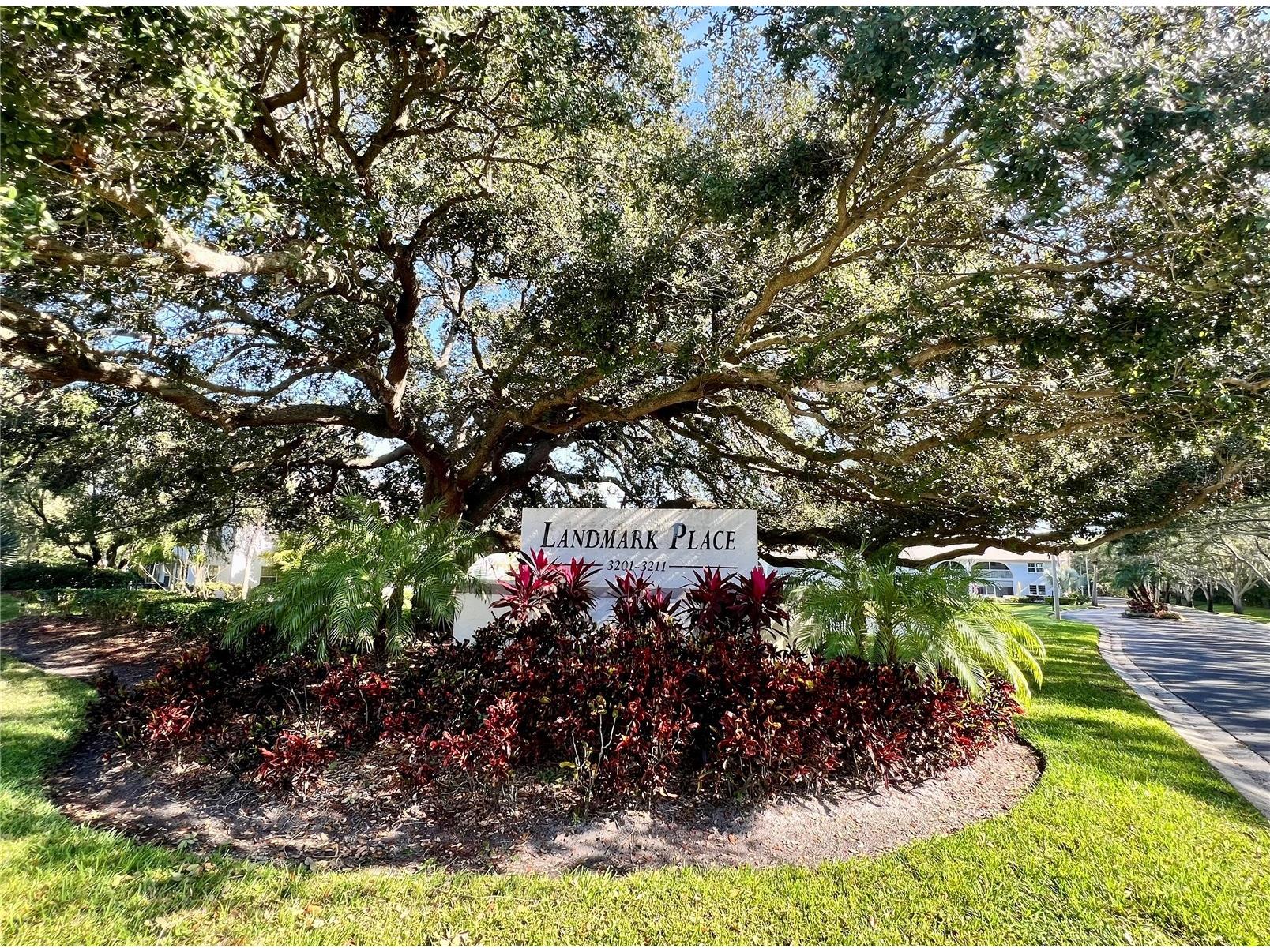 3203 Landmark Drive #2204 Clearwater FL 33761 TB8461421 image20