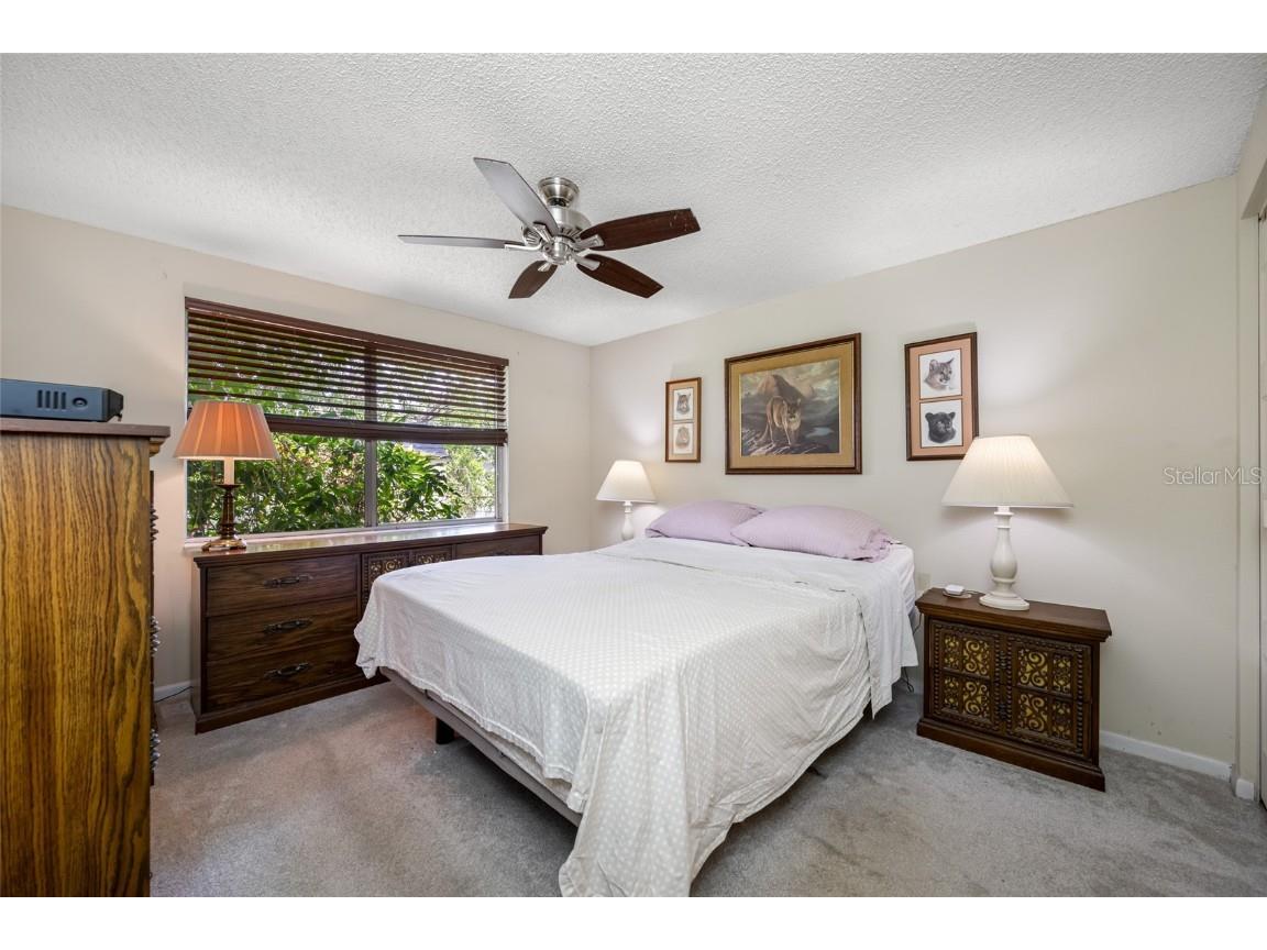 3203 Sandspur Drive Tampa FL 33618 TB8431712 image25