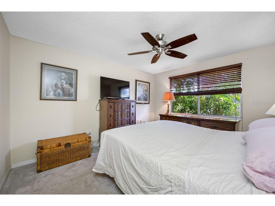 3203 Sandspur Drive Tampa FL 33618 TB8431712 image26