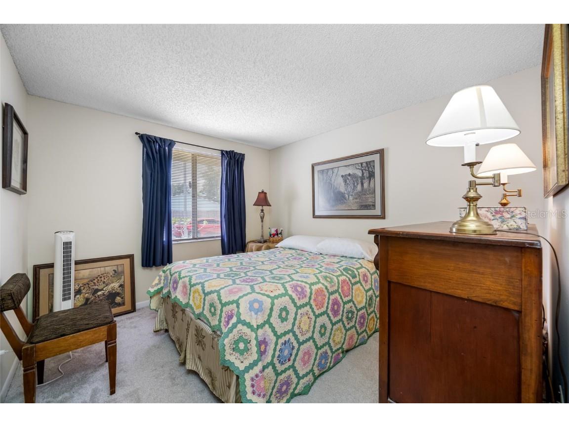 3203 Sandspur Drive Tampa FL 33618 TB8431712 image29