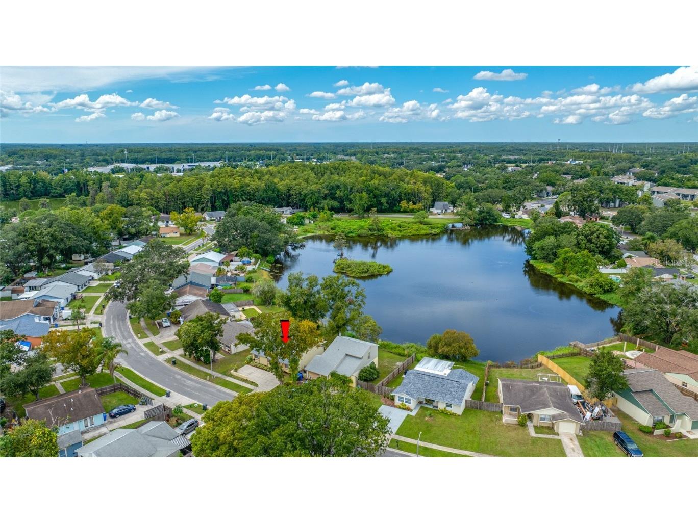 3203 Sandspur Drive Tampa FL 33618 TB8431712 image3