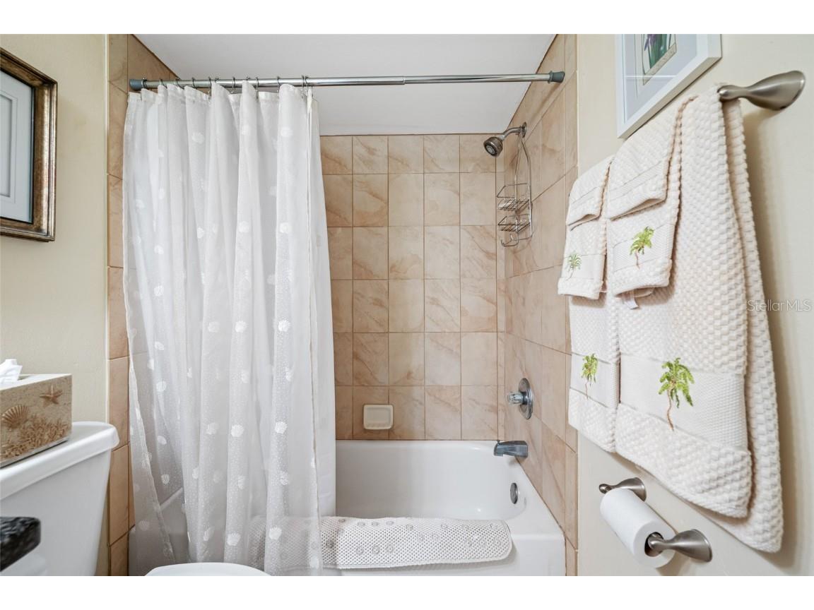 3203 Sandspur Drive Tampa FL 33618 TB8431712 image34