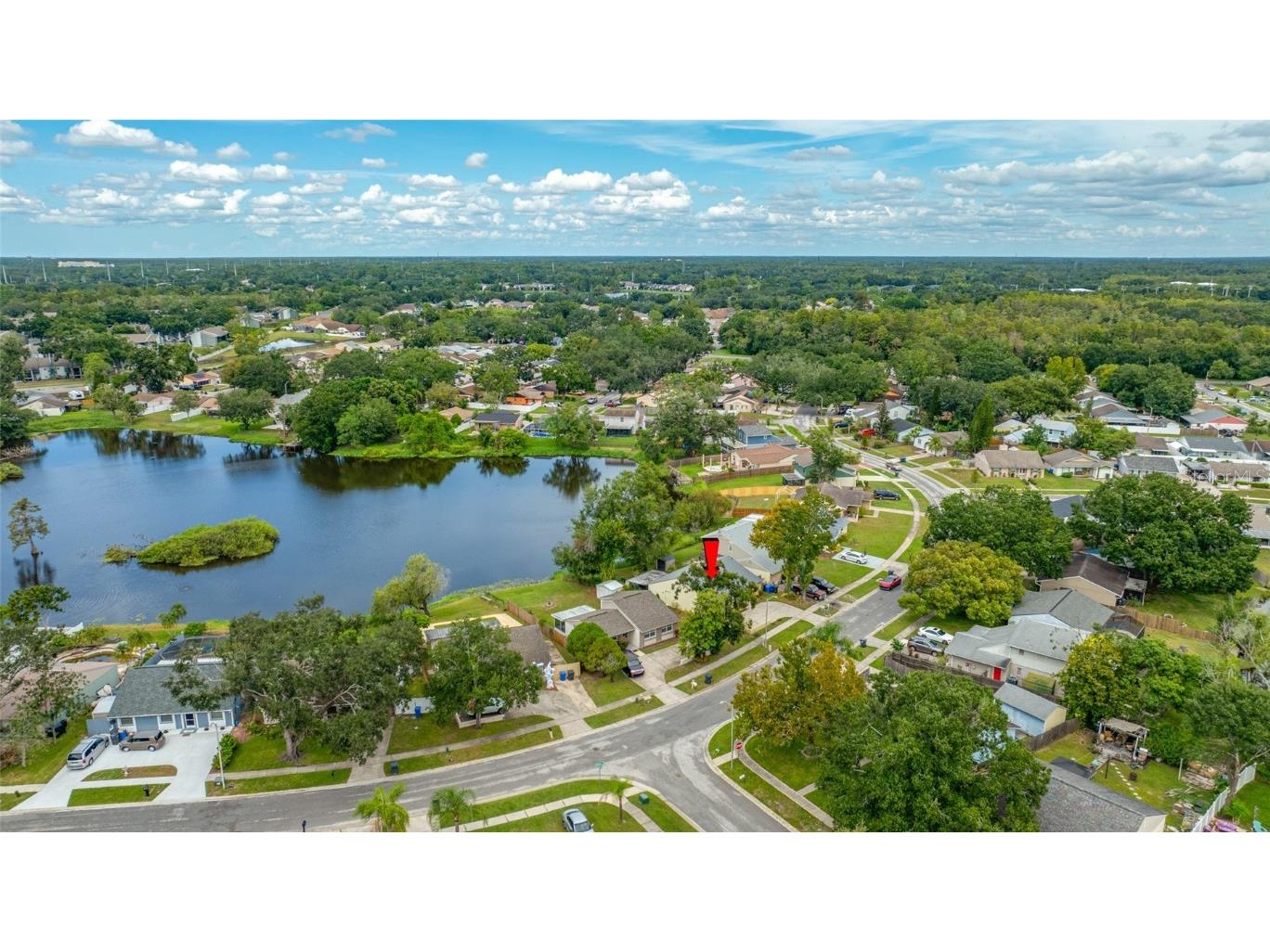 3203 Sandspur Drive Tampa FL 33618 TB8431712 image4