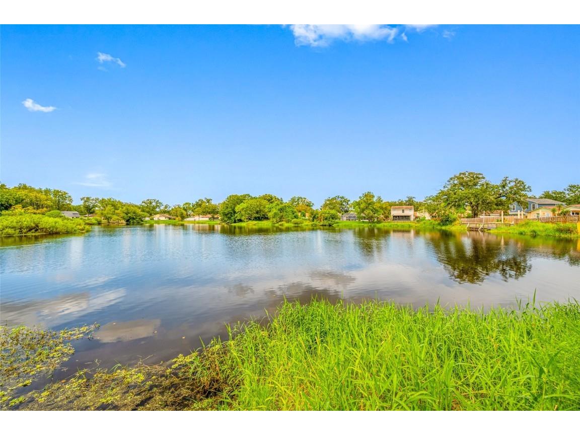 3203 Sandspur Drive Tampa FL 33618 TB8431712 image40