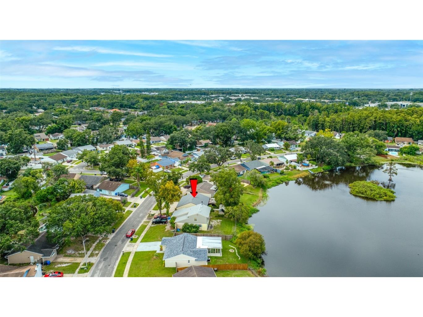 3203 Sandspur Drive Tampa FL 33618 TB8431712 image5