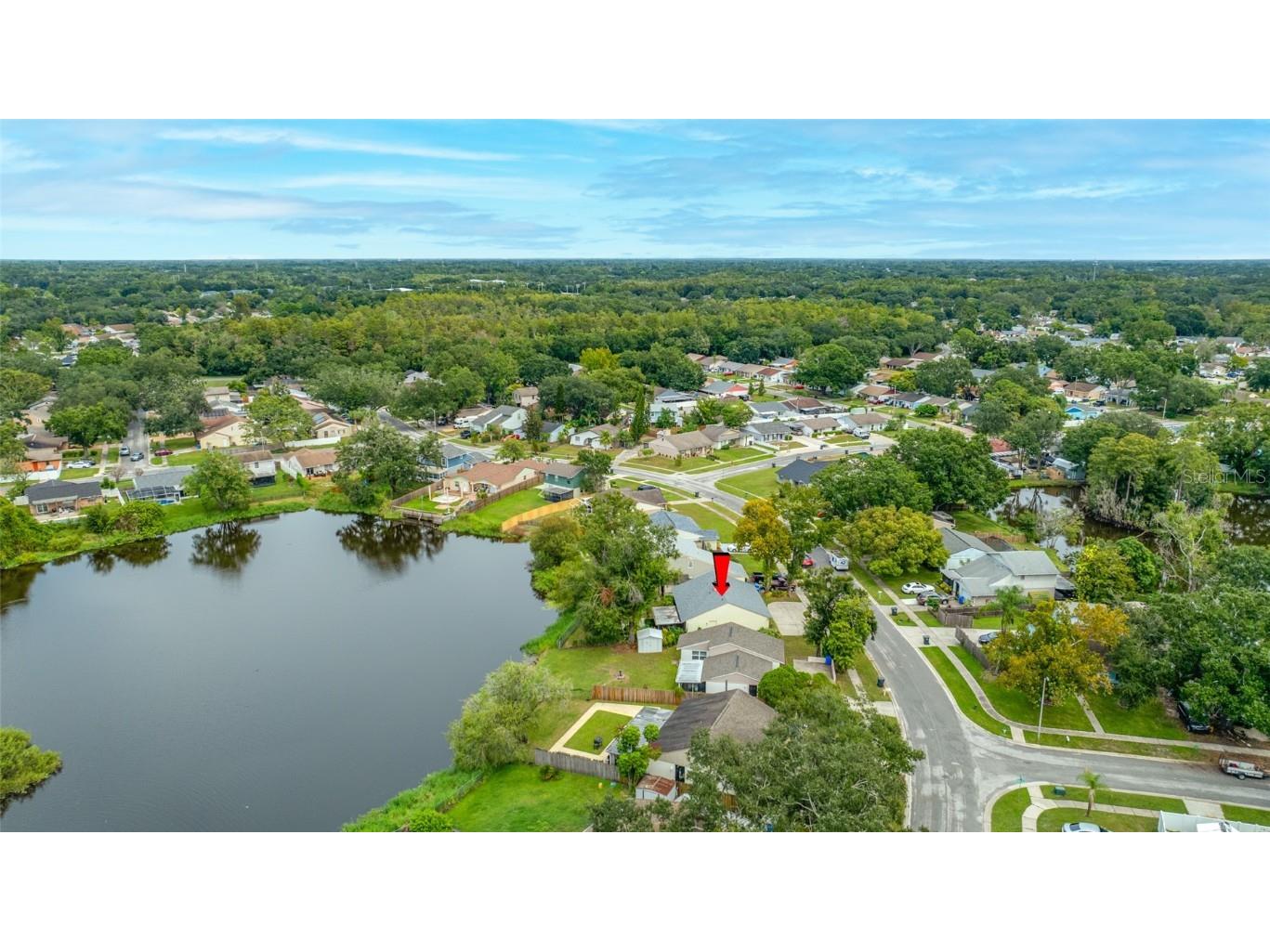 3203 Sandspur Drive Tampa FL 33618 TB8431712 image50