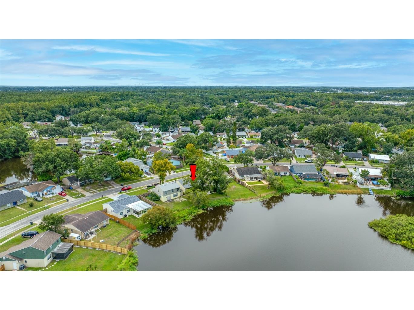 3203 Sandspur Drive Tampa FL 33618 TB8431712 image51