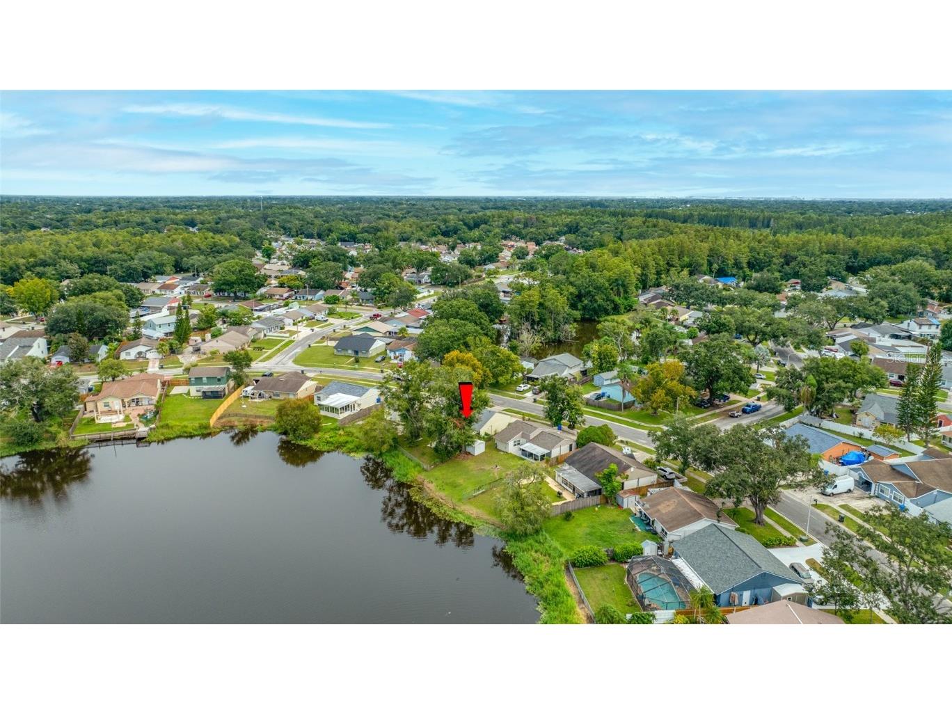 3203 Sandspur Drive Tampa FL 33618 TB8431712 image52