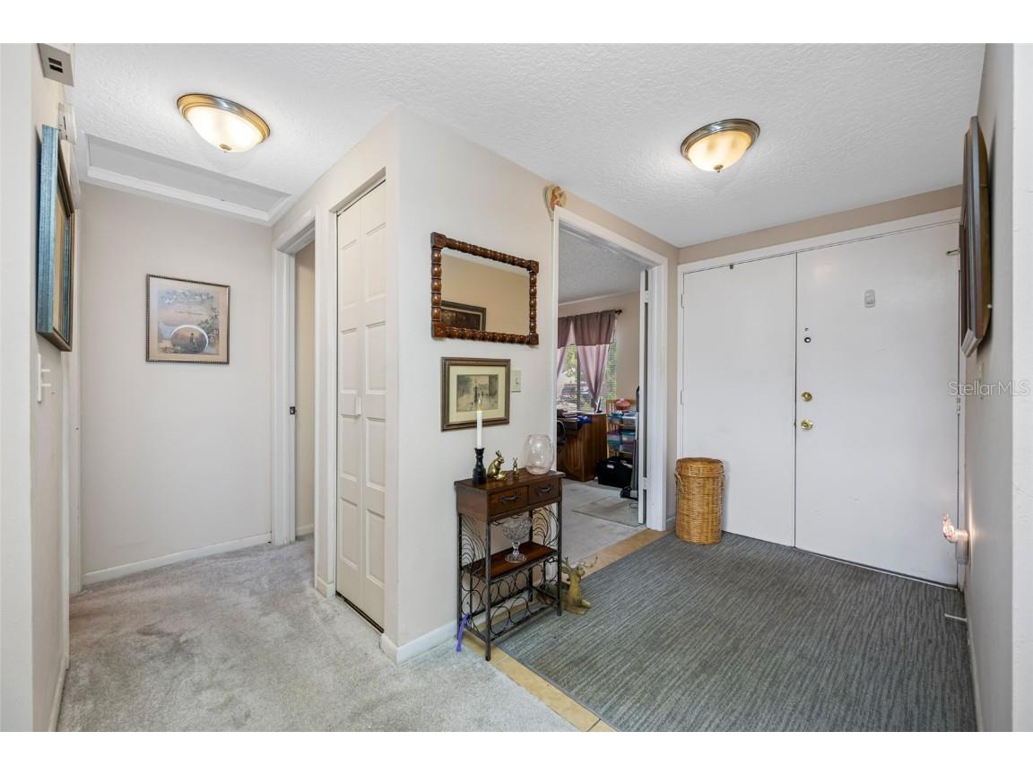 3203 Sandspur Drive Tampa FL 33618 TB8431712 image8