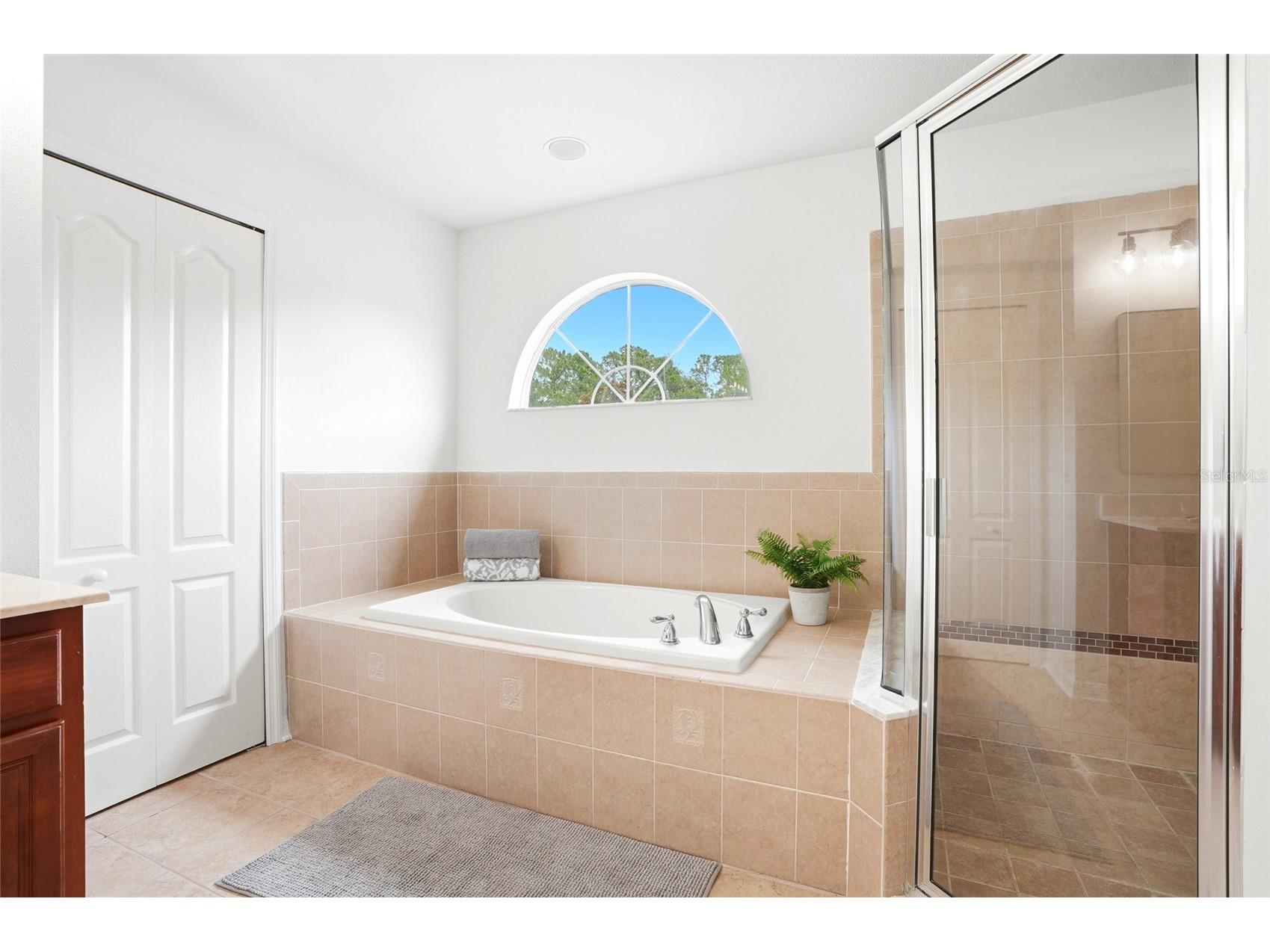 3203 Sunwatch Drive Wesley Chapel FL 33544 TB8511992 image27