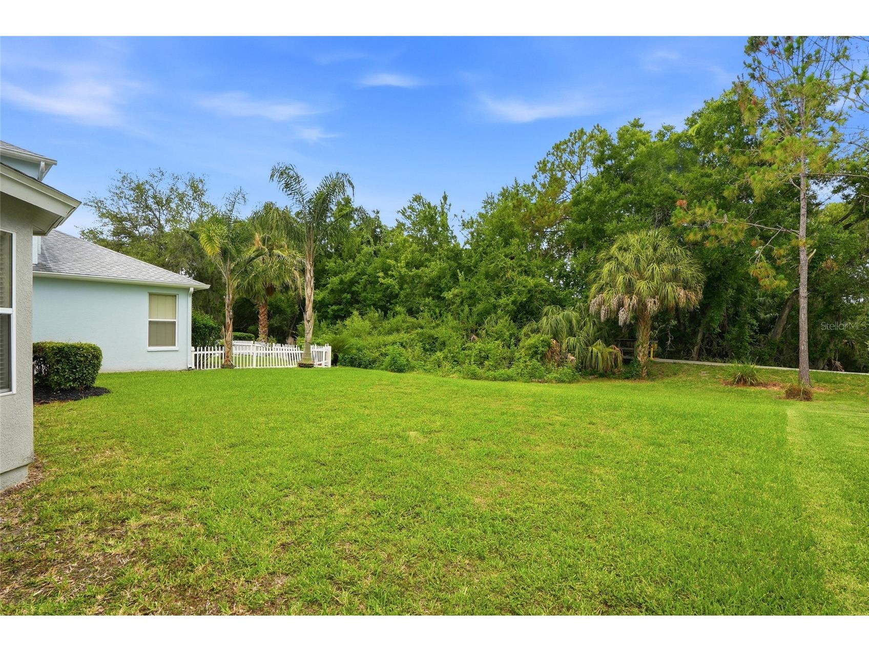 3203 Sunwatch Drive Wesley Chapel FL 33544 TB8511992 image38