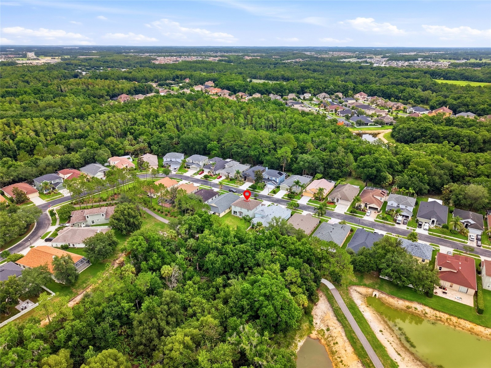 3203 Sunwatch Drive Wesley Chapel FL 33544 TB8511992 image46