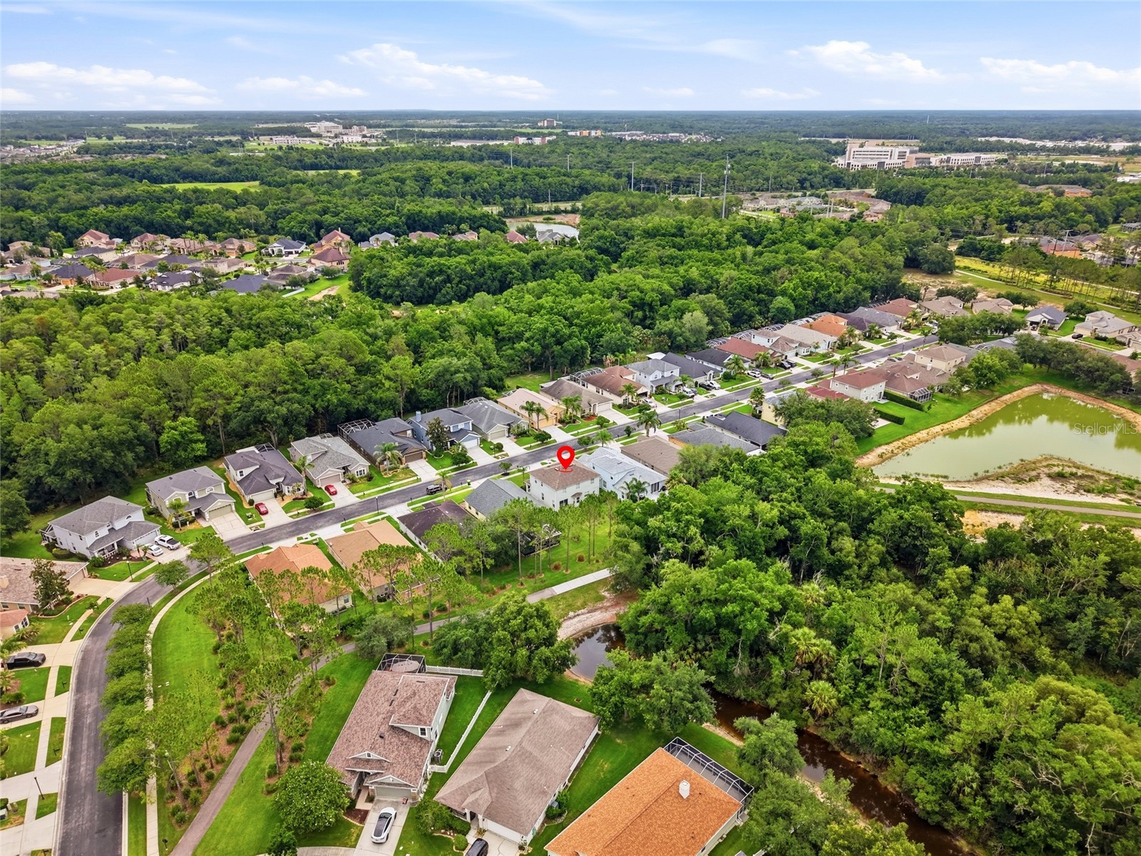 3203 Sunwatch Drive Wesley Chapel FL 33544 TB8511992 image47