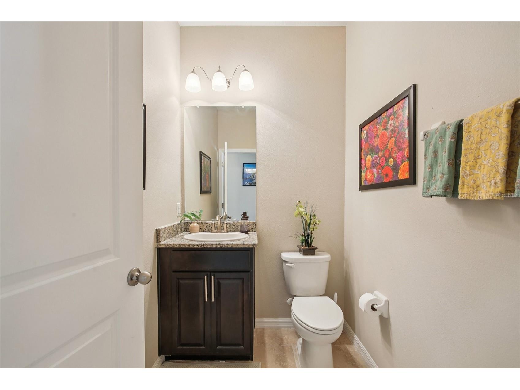 32030 Goddard Drive Wesley Chapel FL 33543 TB8471432 image15