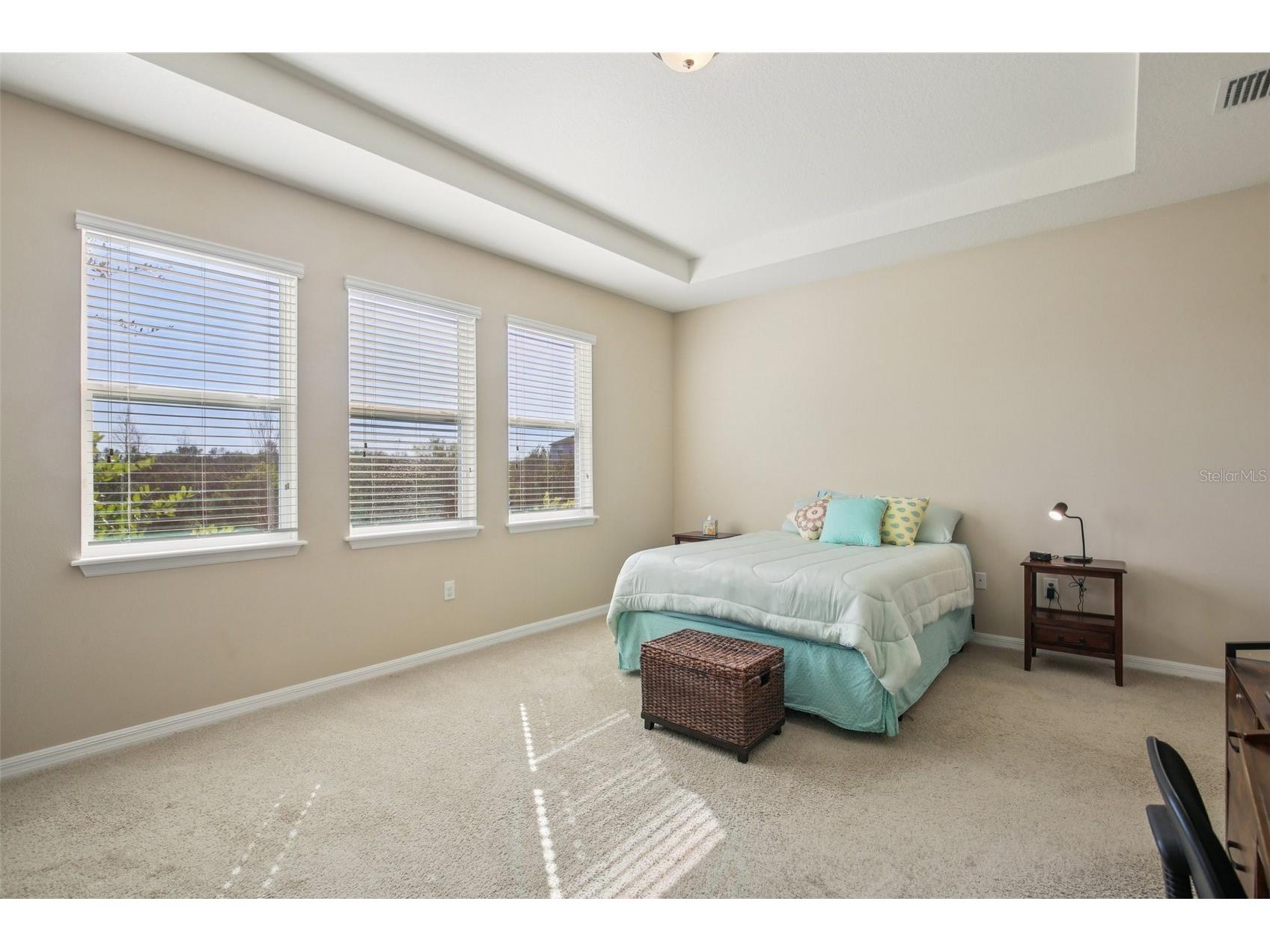 32030 Goddard Drive Wesley Chapel FL 33543 TB8471432 image30