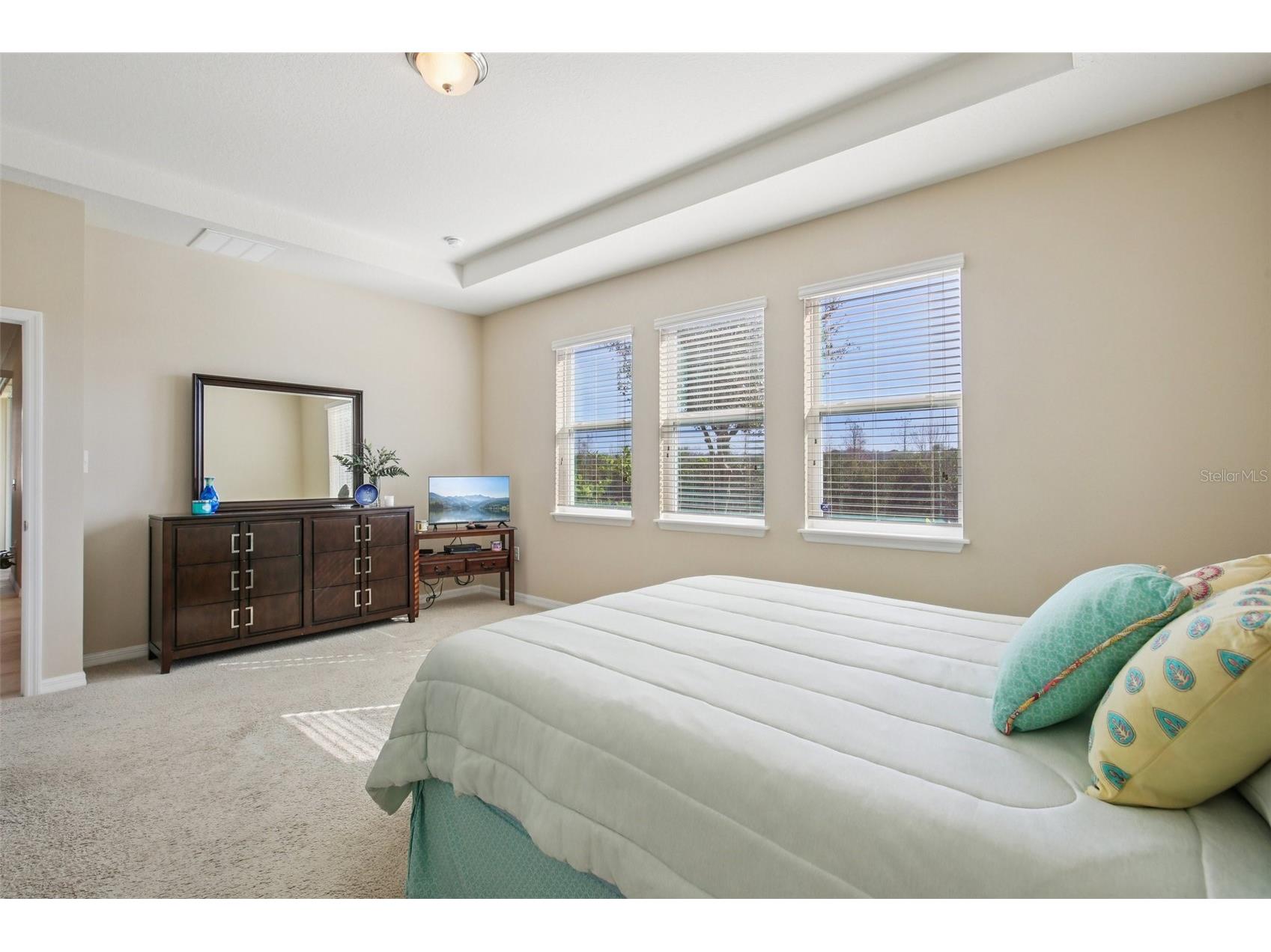 32030 Goddard Drive Wesley Chapel FL 33543 TB8471432 image31