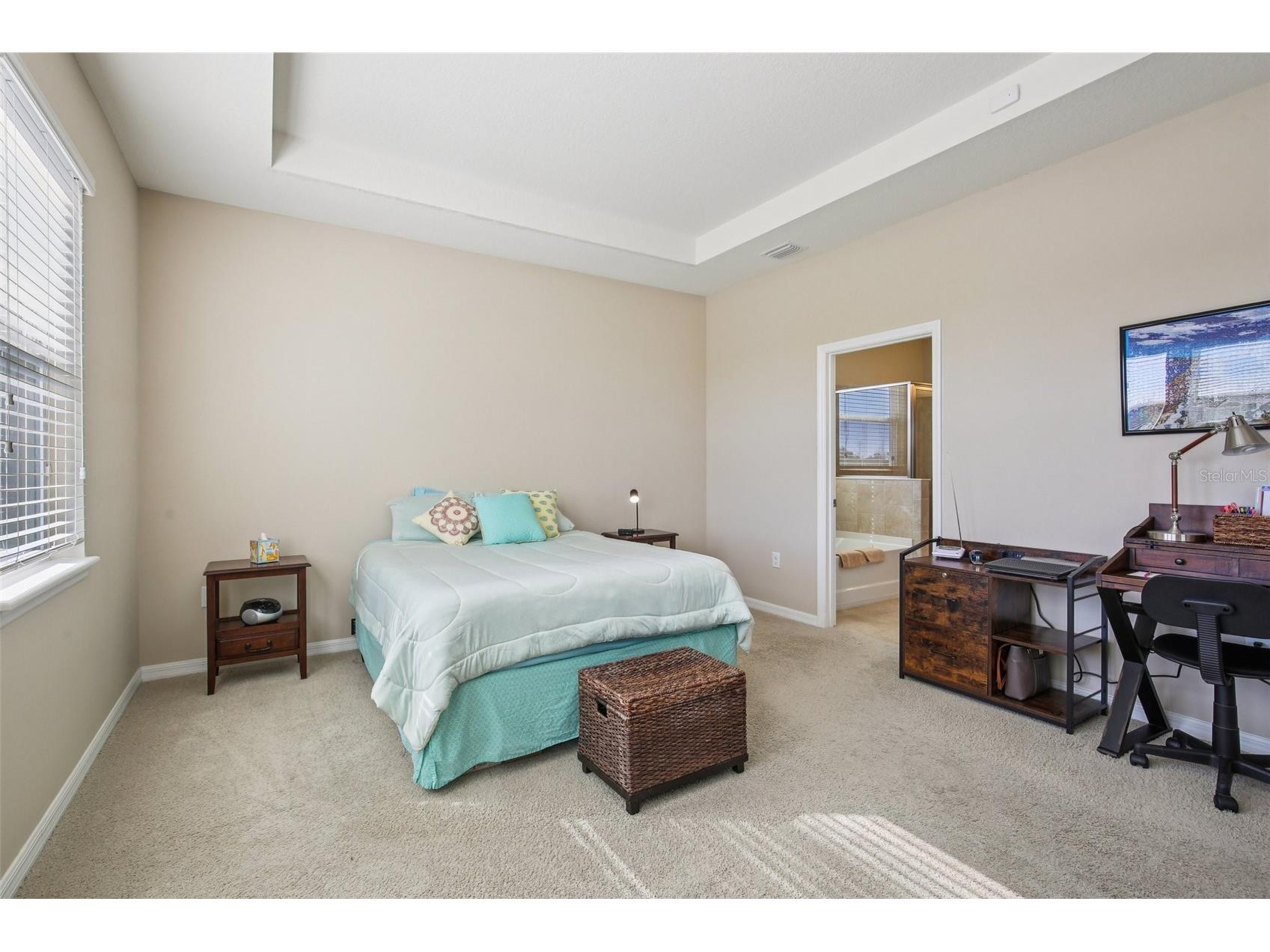 32030 Goddard Drive Wesley Chapel FL 33543 TB8471432 image32