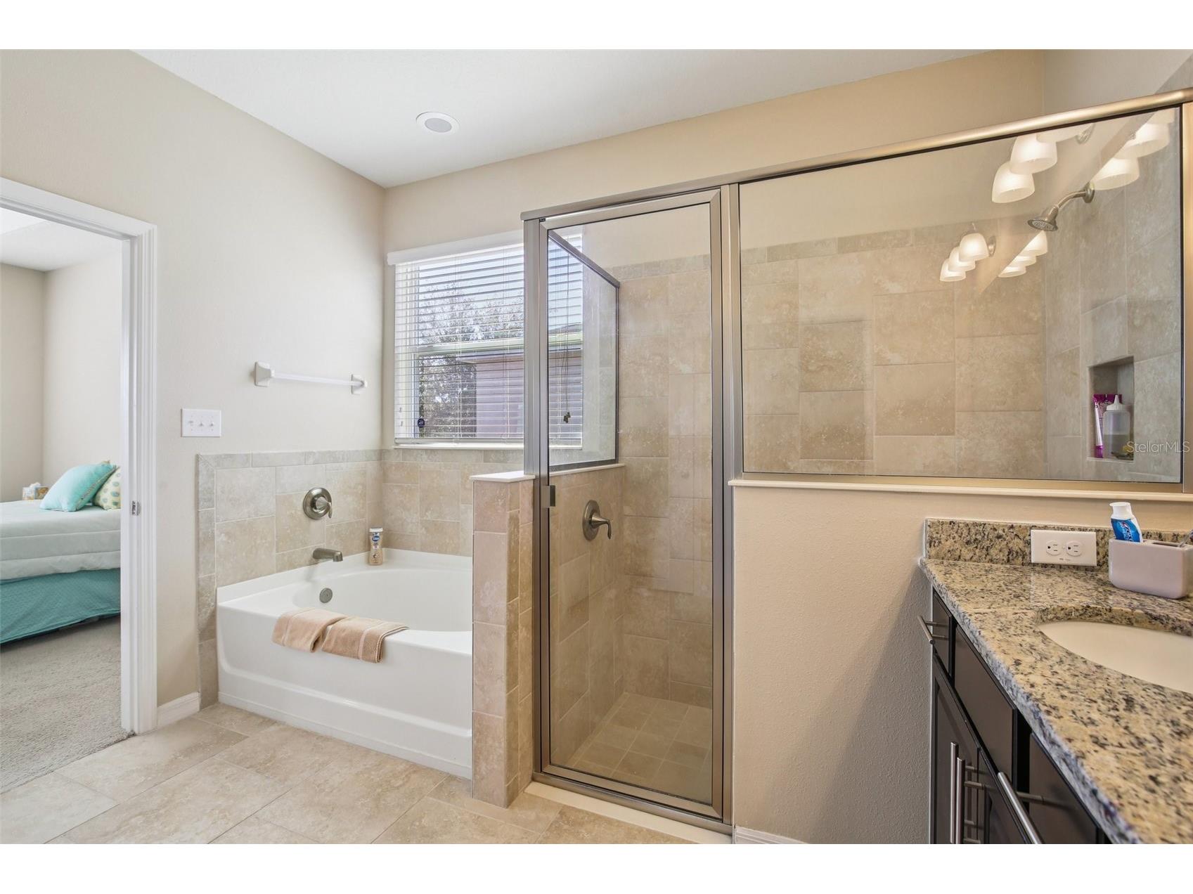 32030 Goddard Drive Wesley Chapel FL 33543 TB8471432 image33