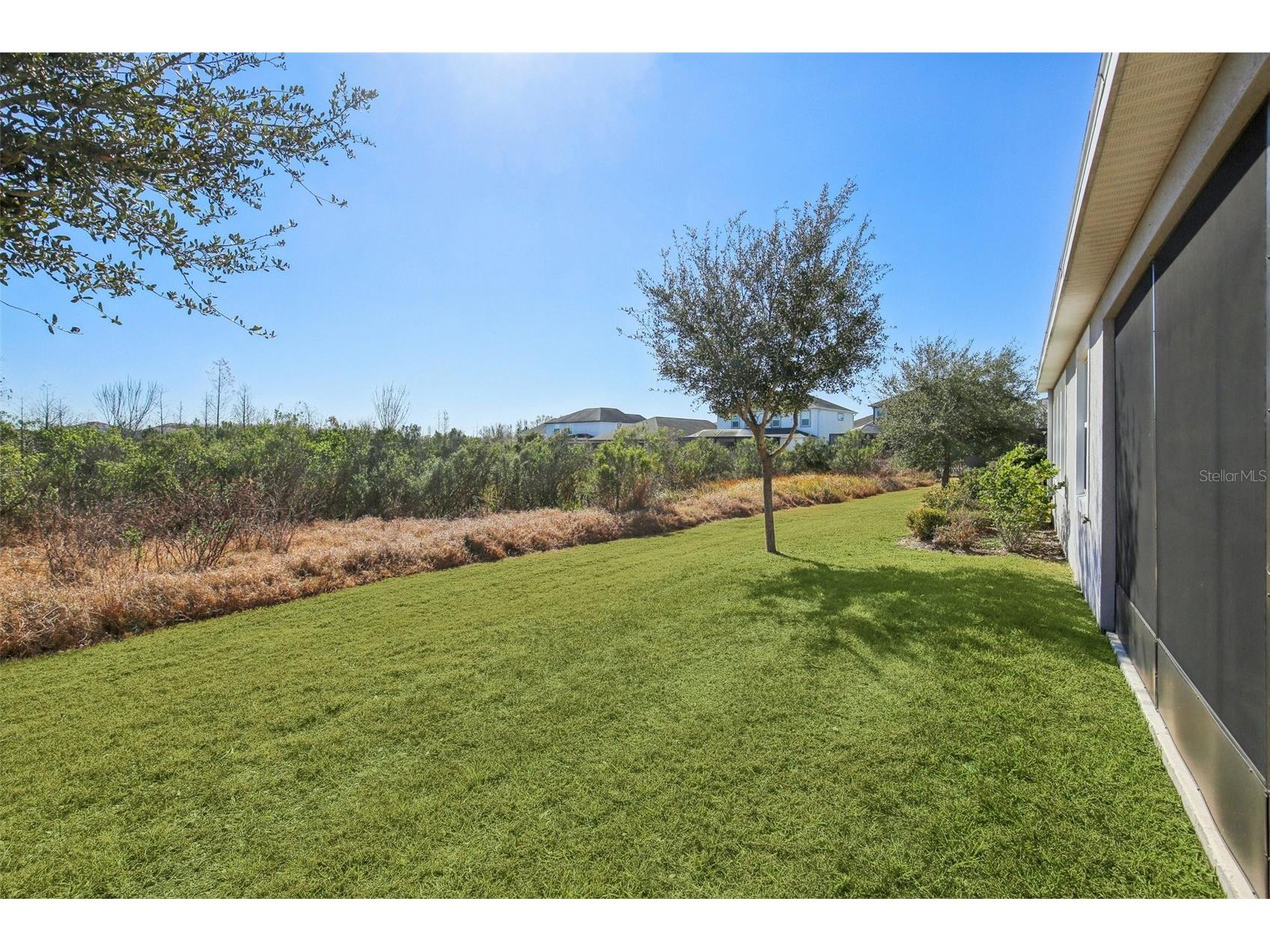 32030 Goddard Drive Wesley Chapel FL 33543 TB8471432 image39