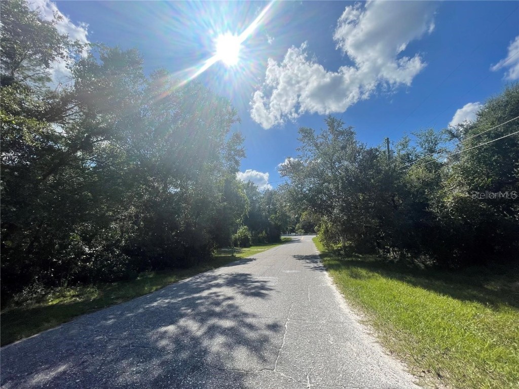32030 Wacassa Trail Sorrento FL 32776 O6218176 image1