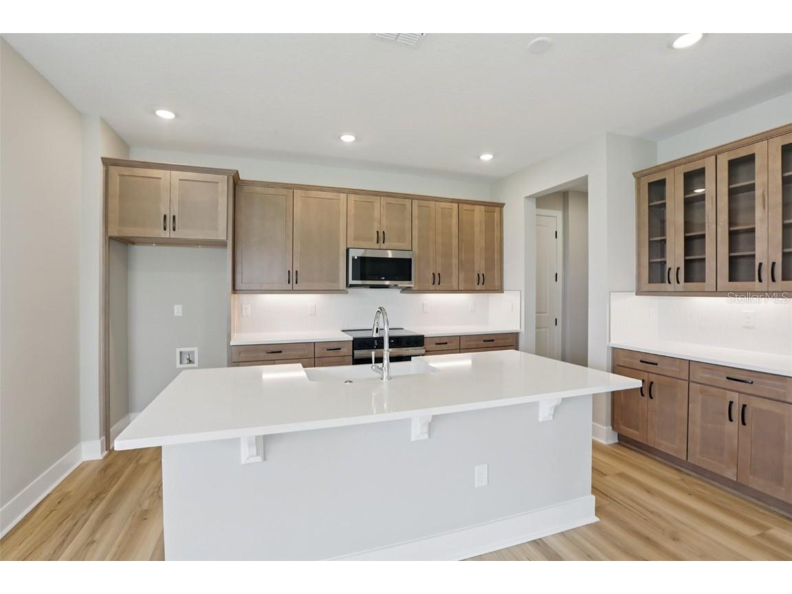 32032 Anchor Point Drive Wesley Chapel FL 33545 TB8432106 image19