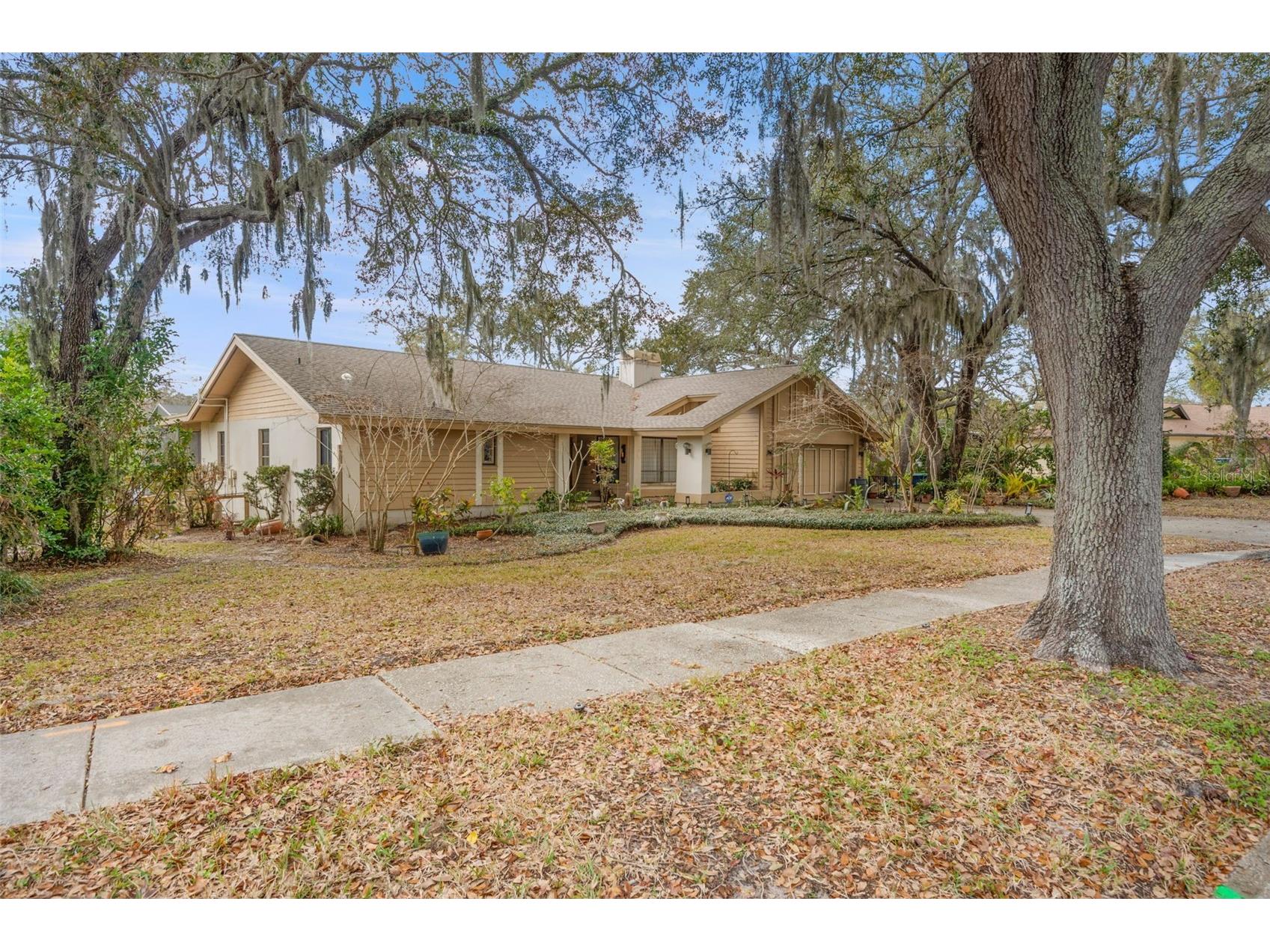 3204 Autumn Drive Palm Harbor FL 34683 TB8478019 image2