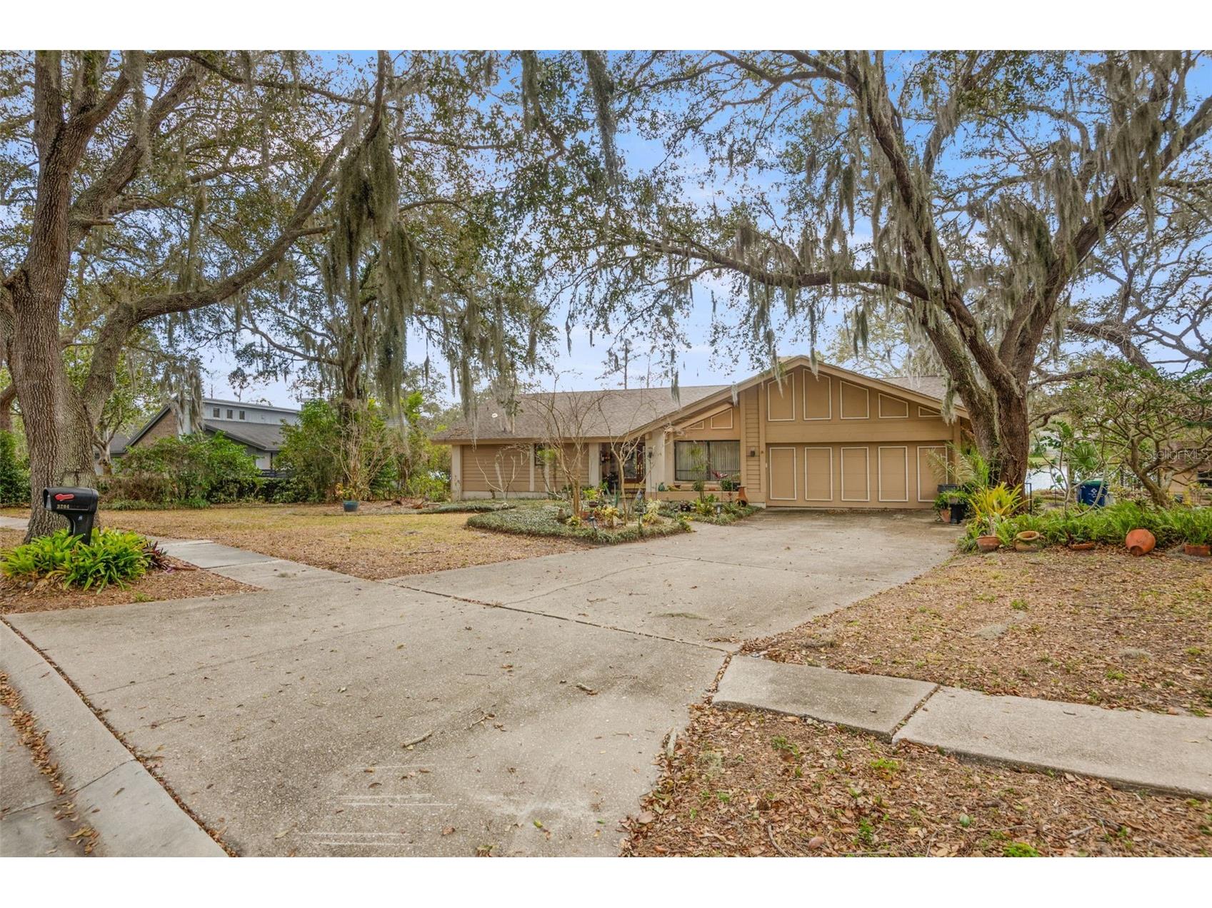 3204 Autumn Drive Palm Harbor FL 34683 TB8478019 image3