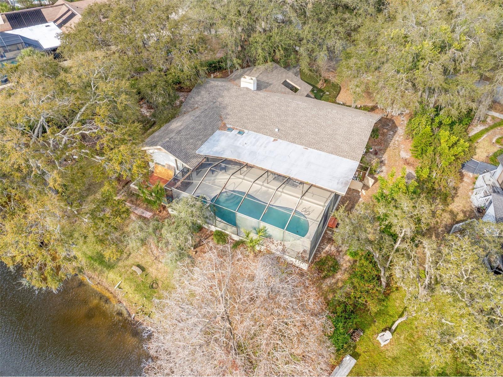 3204 Autumn Drive Palm Harbor FL 34683 TB8478019 image46