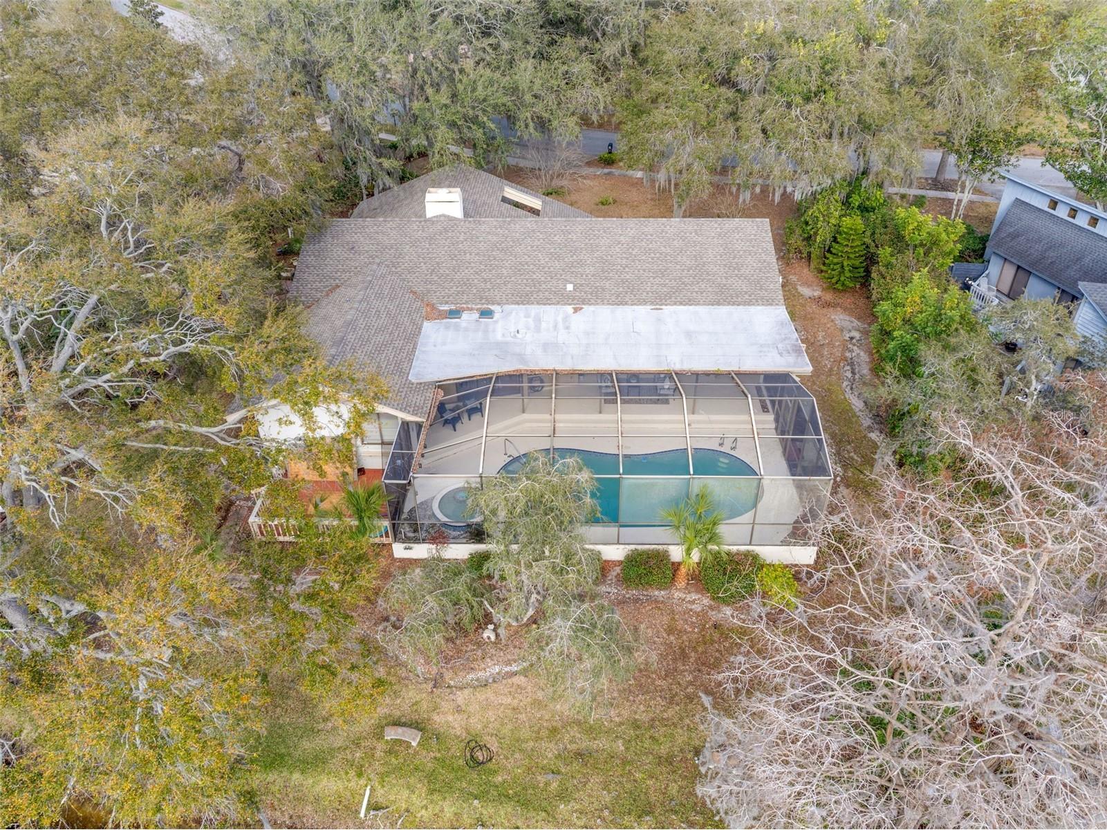 3204 Autumn Drive Palm Harbor FL 34683 TB8478019 image47