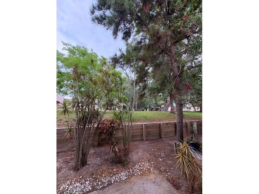 3204 Brigadoon Drive Clearwater FL 33759 A4693196 image38