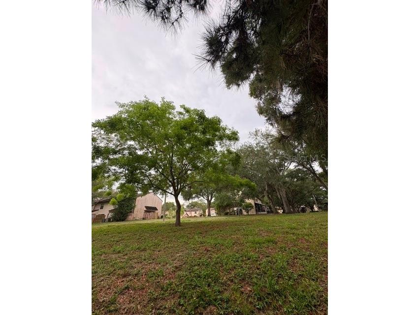 3204 Brigadoon Drive Clearwater FL 33759 A4693196 image39