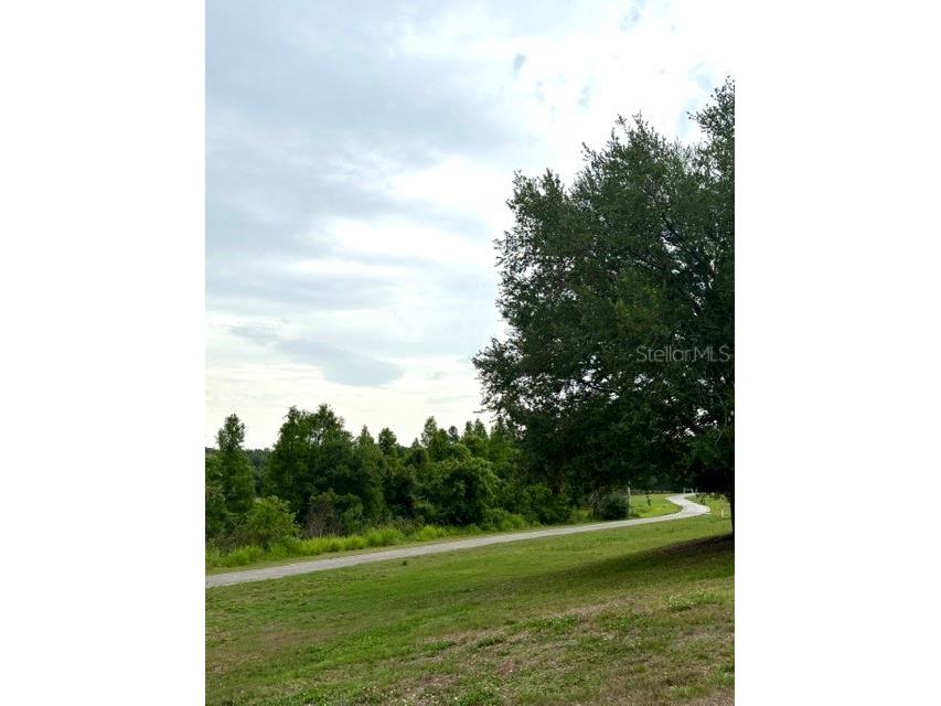 3204 Brigadoon Drive Clearwater FL 33759 A4693196 image44
