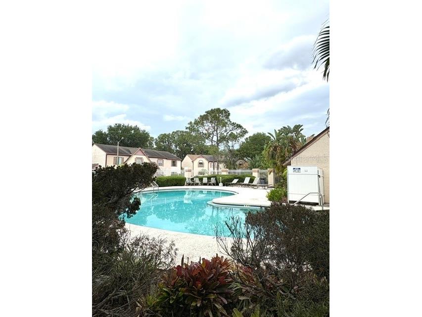 3204 Brigadoon Drive Clearwater FL 33759 A4693196 image46