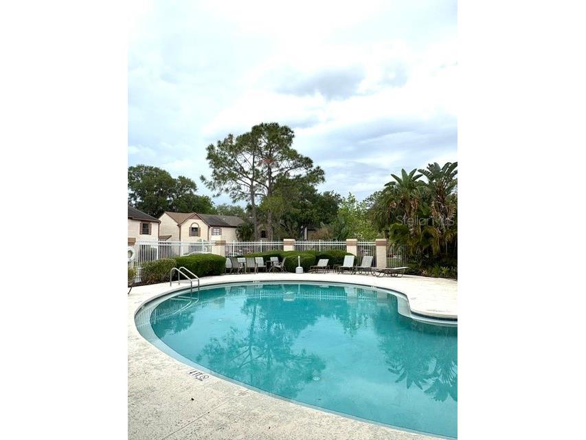 3204 Brigadoon Drive Clearwater FL 33759 A4693196 image48
