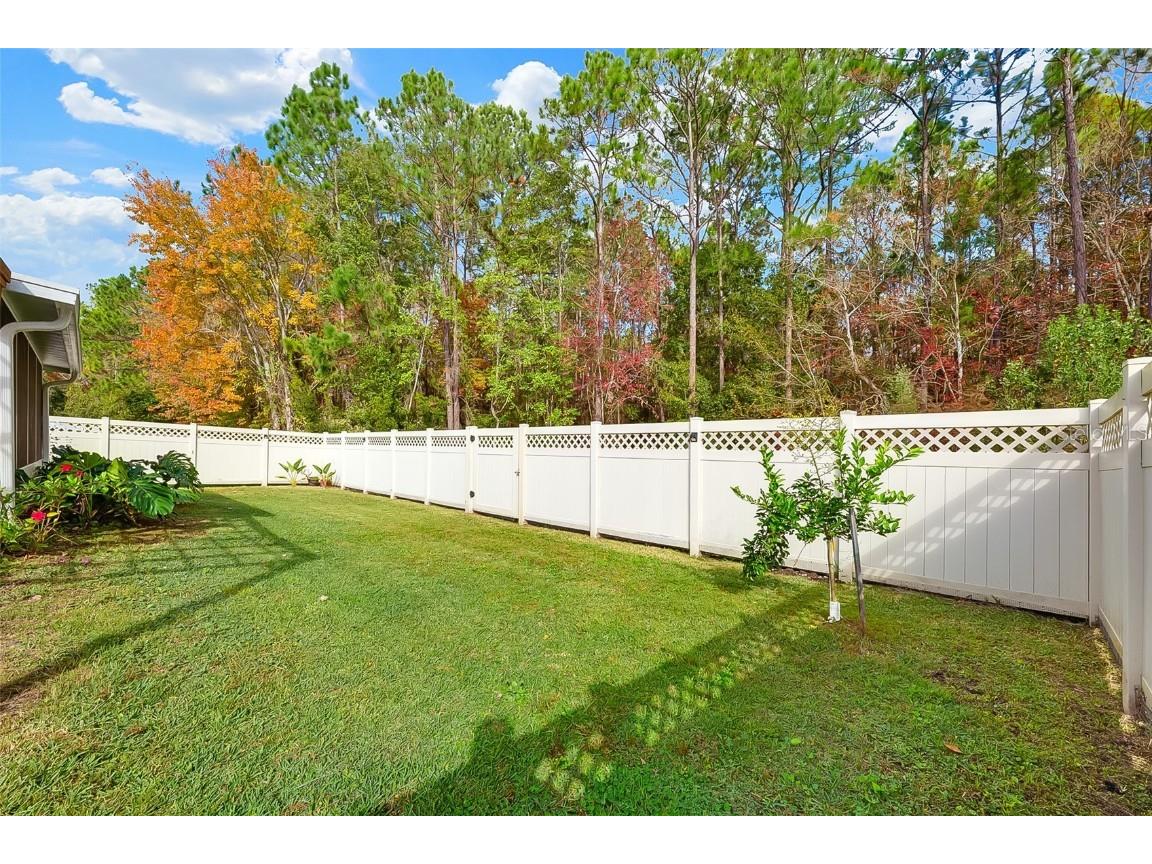 3204 Carlotta Road Middleburg FL 32068 FC314758 image35