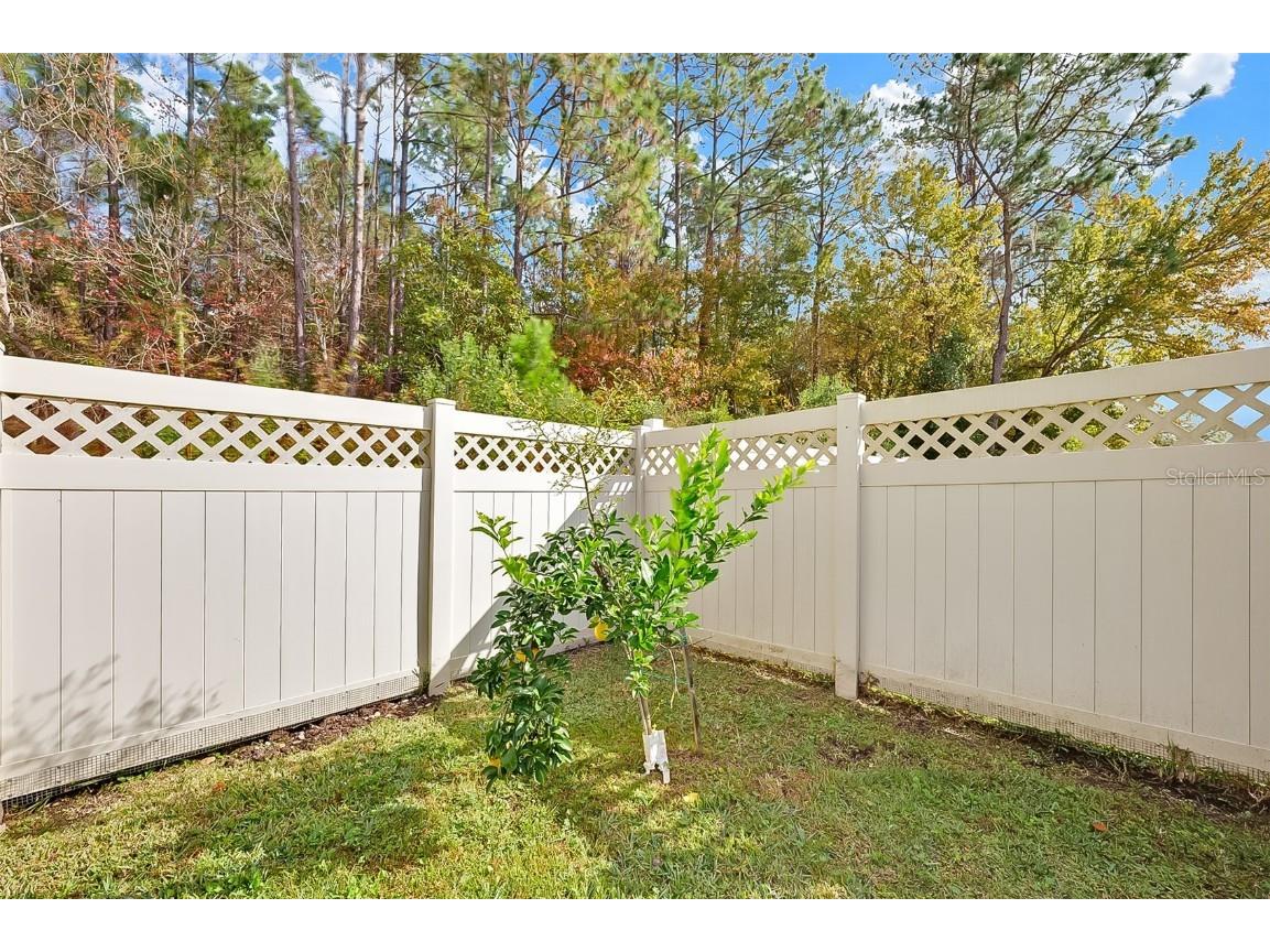 3204 Carlotta Road Middleburg FL 32068 FC314758 image36