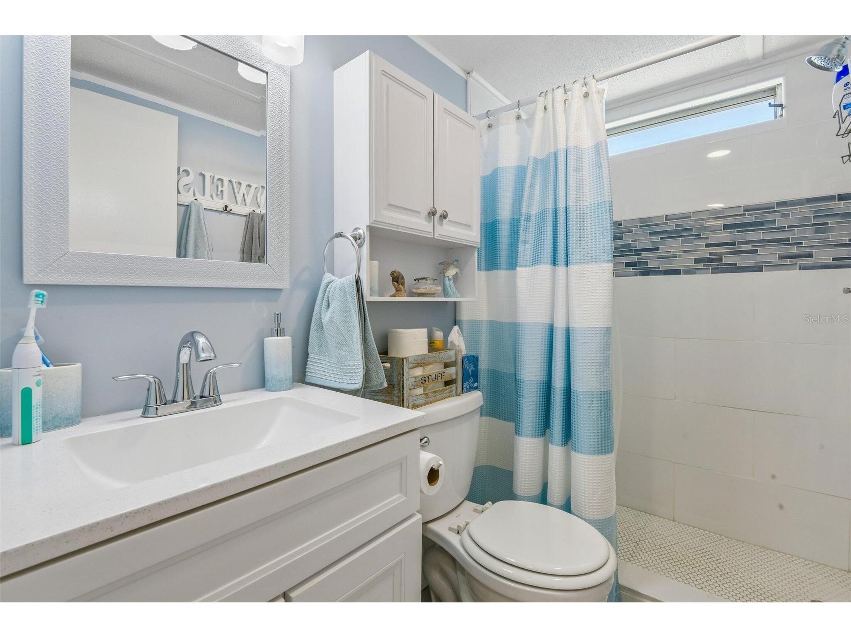 3204 Pond Hollow Street Wesley Chapel FL 33543 O6403089 image10