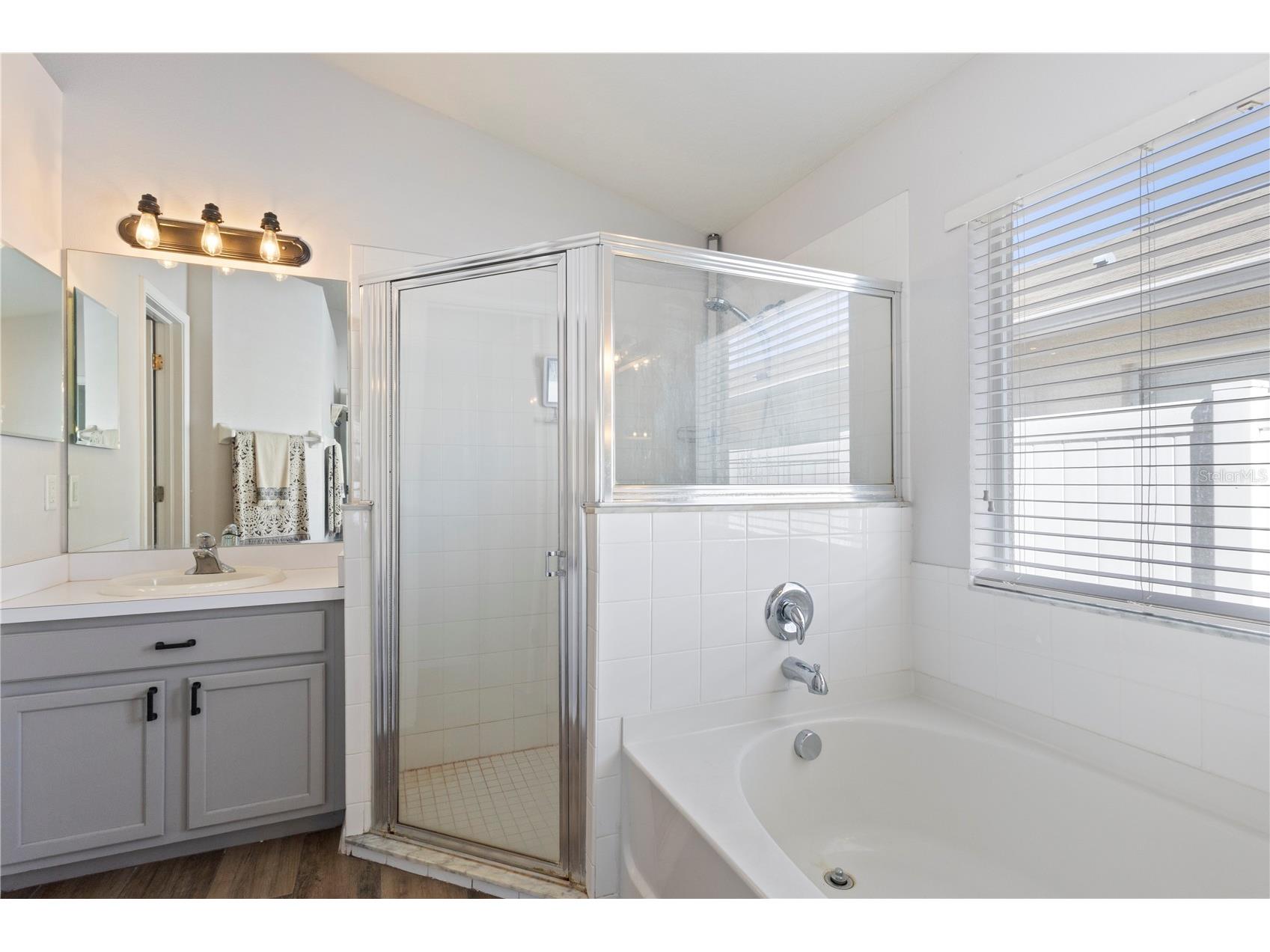 3204 Prairie Iris Drive Land O Lakes FL 34638 TB8494528 image29