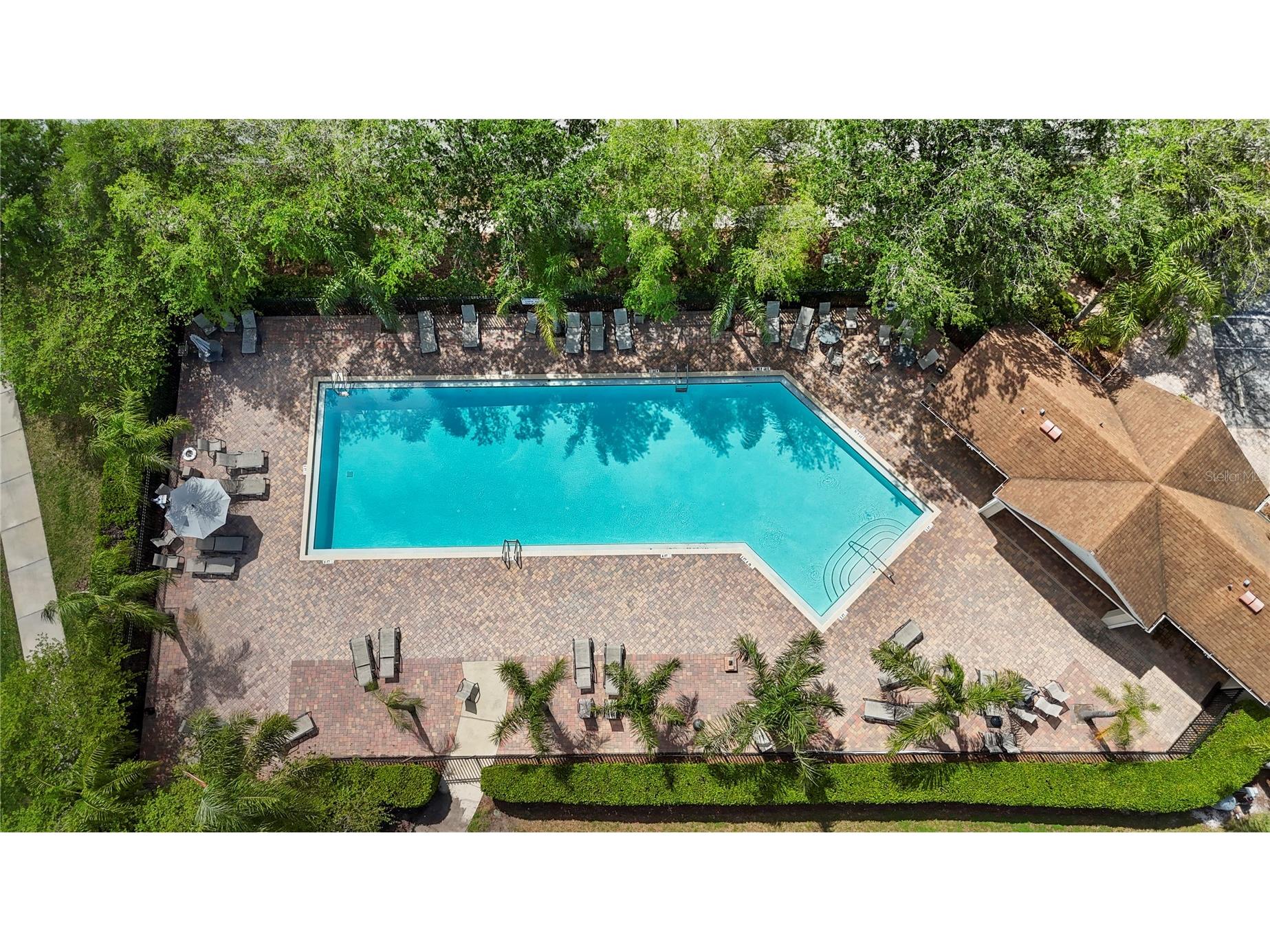 3204 Prairie Iris Drive Land O Lakes FL 34638 TB8494528 image45