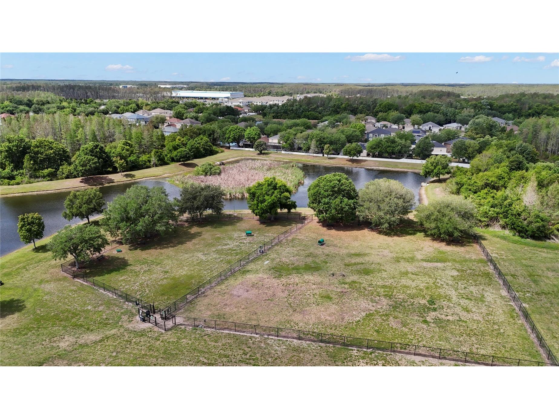 3204 Prairie Iris Drive Land O Lakes FL 34638 TB8494528 image46