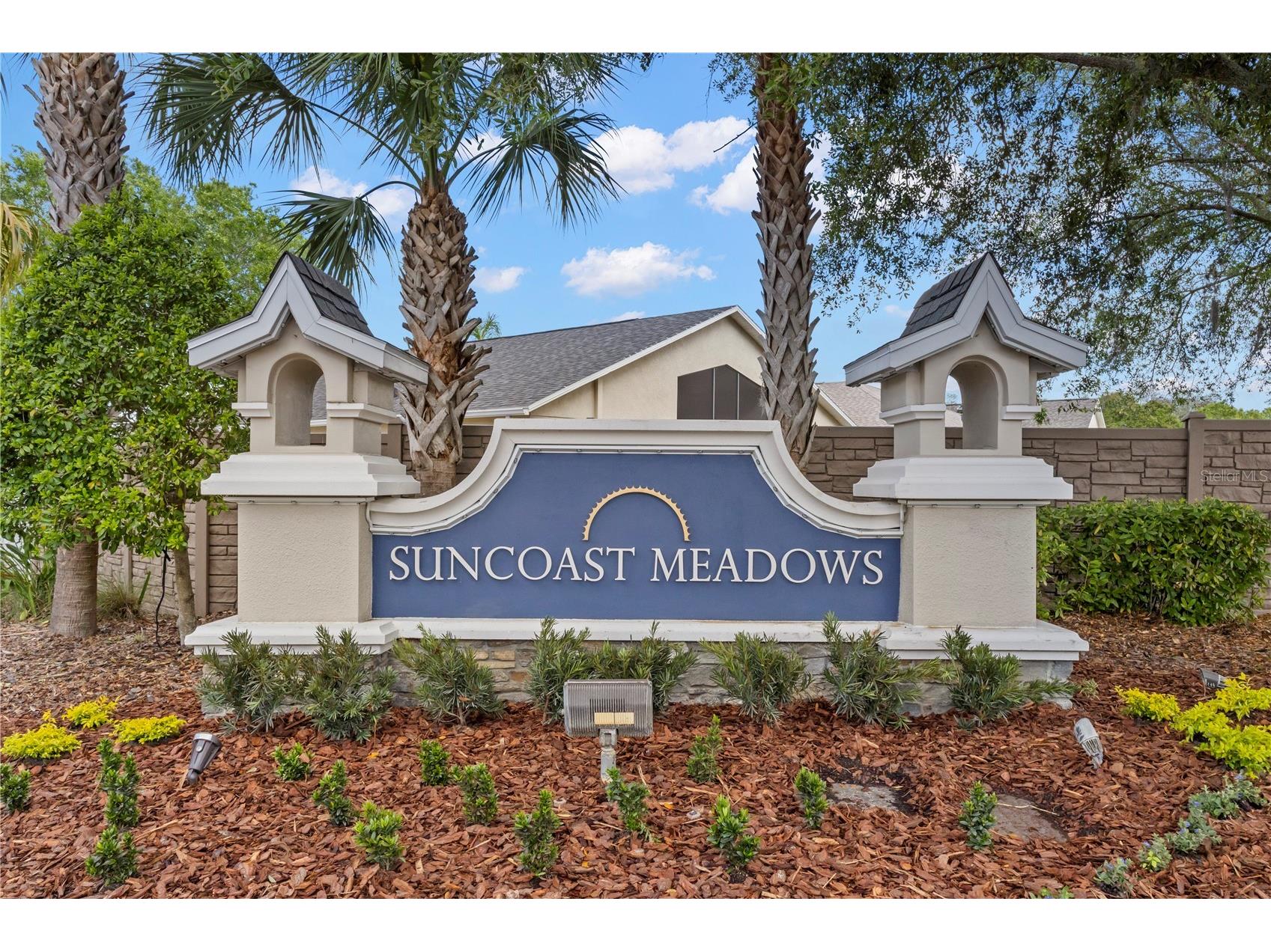 3204 Prairie Iris Drive Land O Lakes FL 34638 TB8494528 image52