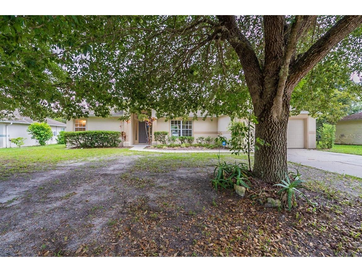 3204 Sky Street Deltona FL 32738 O6052925 image1