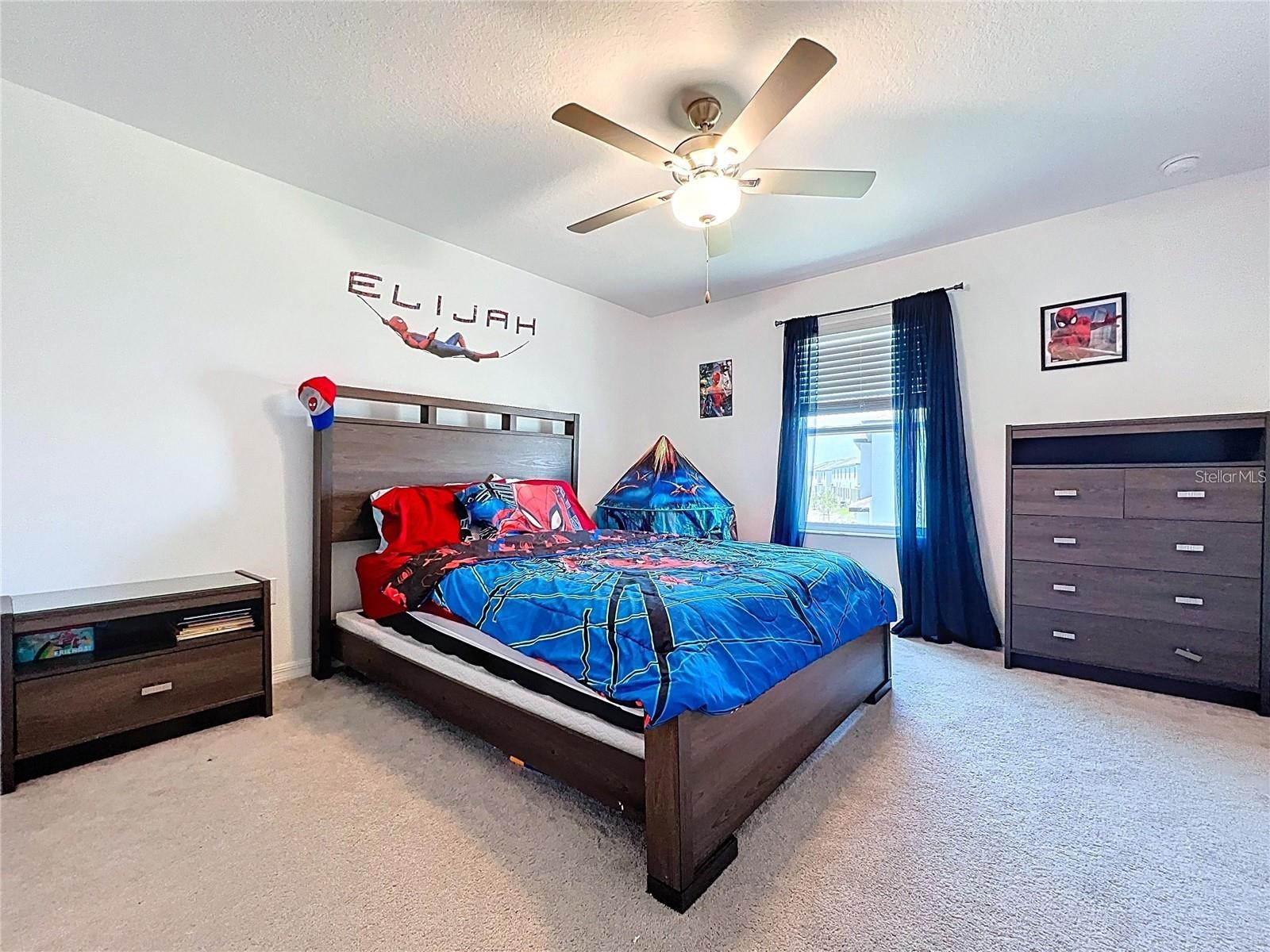 32046 Powderpuff Mimosa Drive San Antonio FL 33576 TB8467370 image30