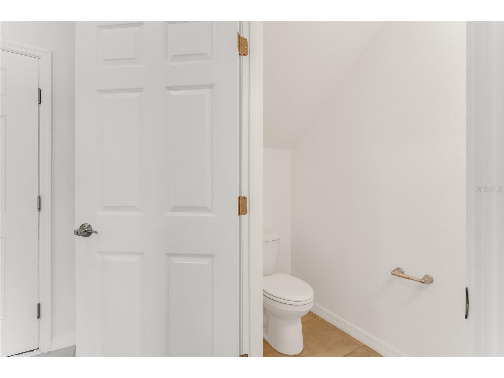 3205 Amaranth Street Tavares FL 32778 O6418755 image22