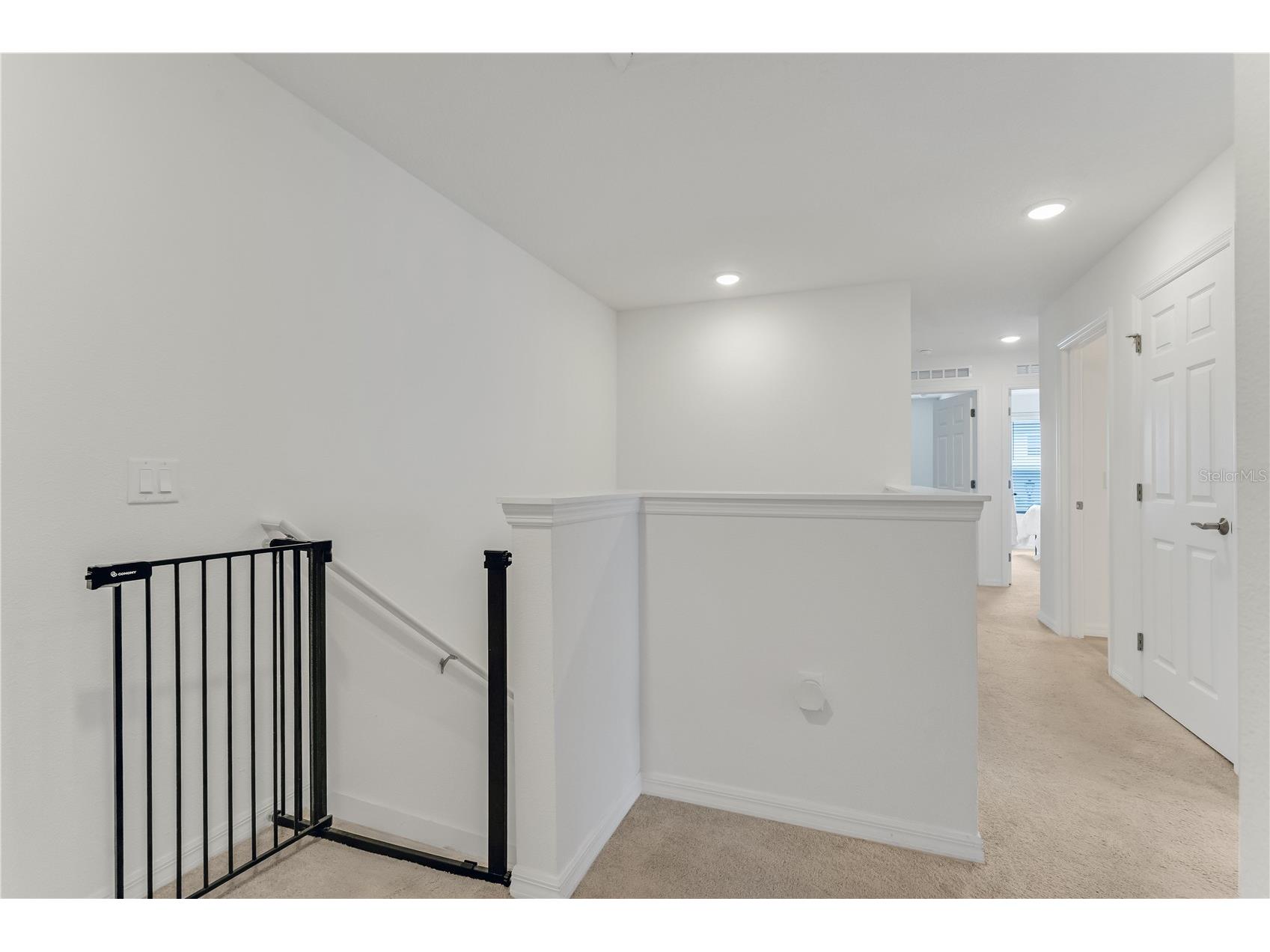 3205 Amaranth Street Tavares FL 32778 O6418755 image31