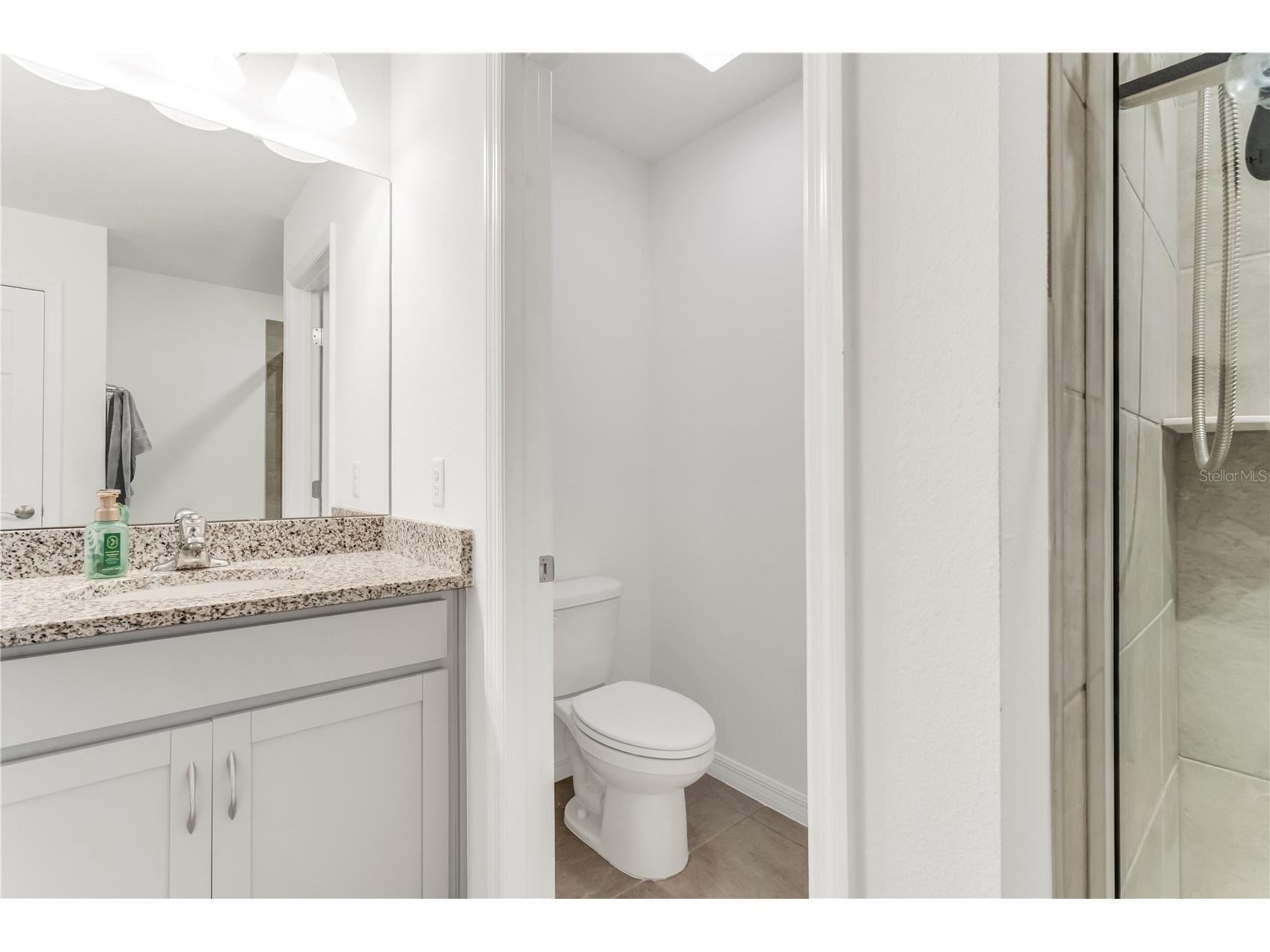3205 Amaranth Street Tavares FL 32778 O6418755 image35