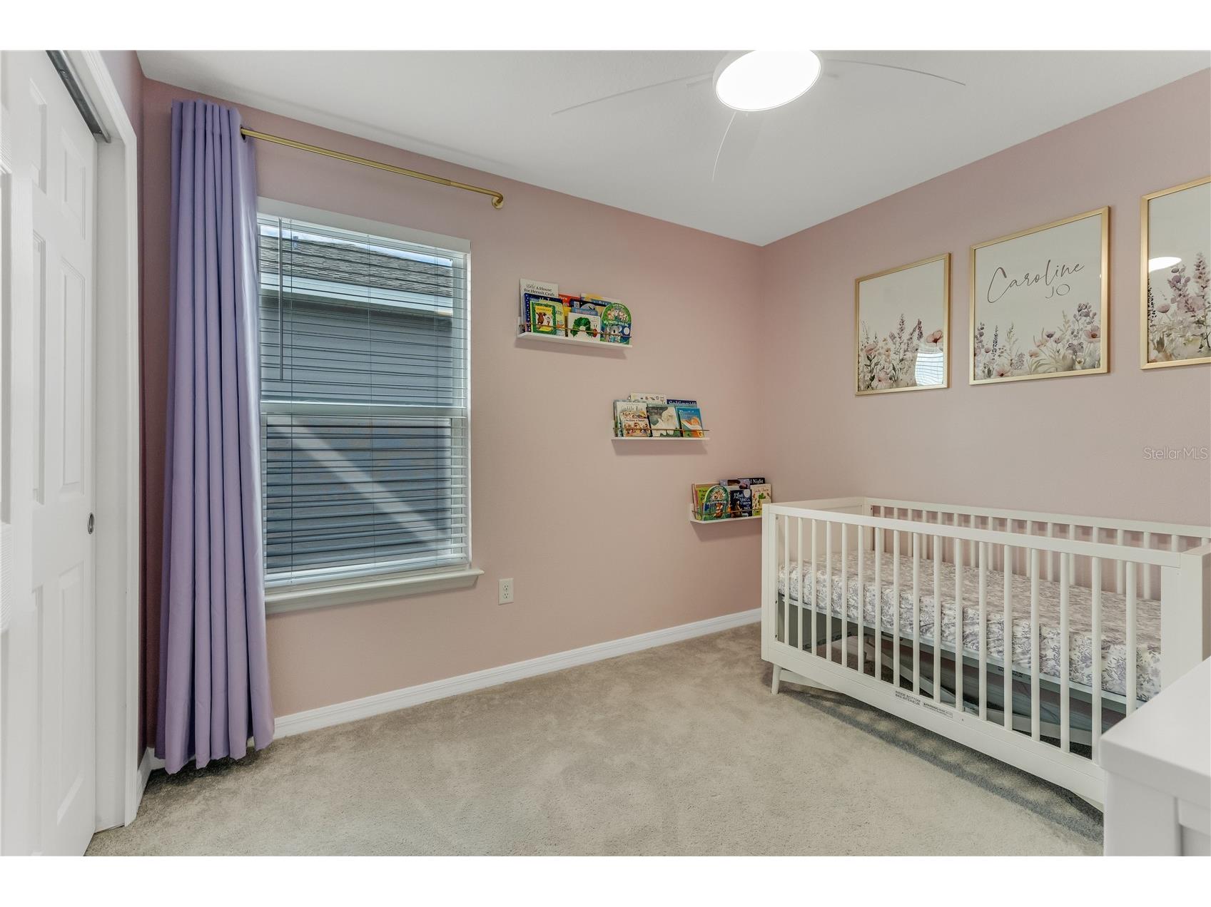 3205 Amaranth Street Tavares FL 32778 O6418755 image38