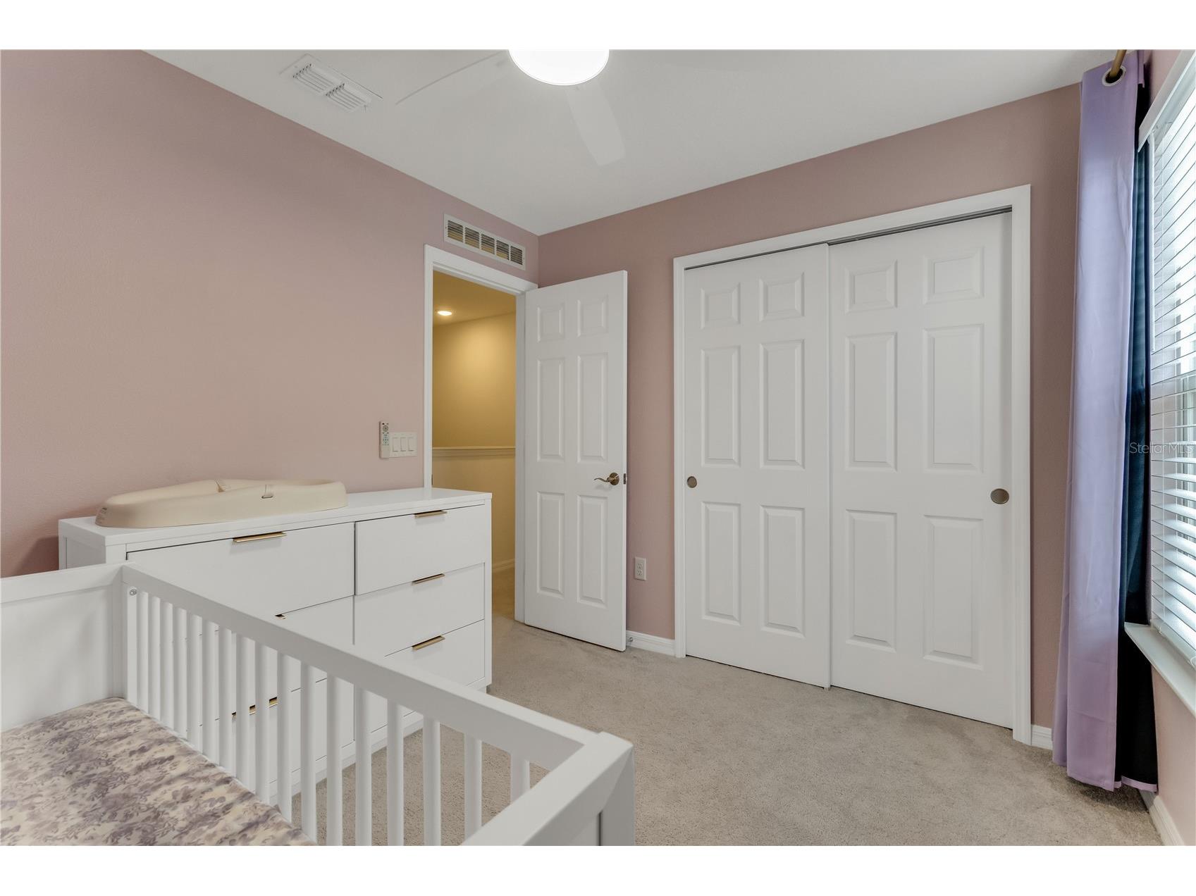 3205 Amaranth Street Tavares FL 32778 O6418755 image39